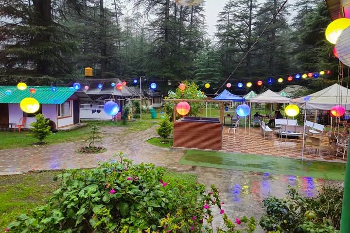 a camp in kasol