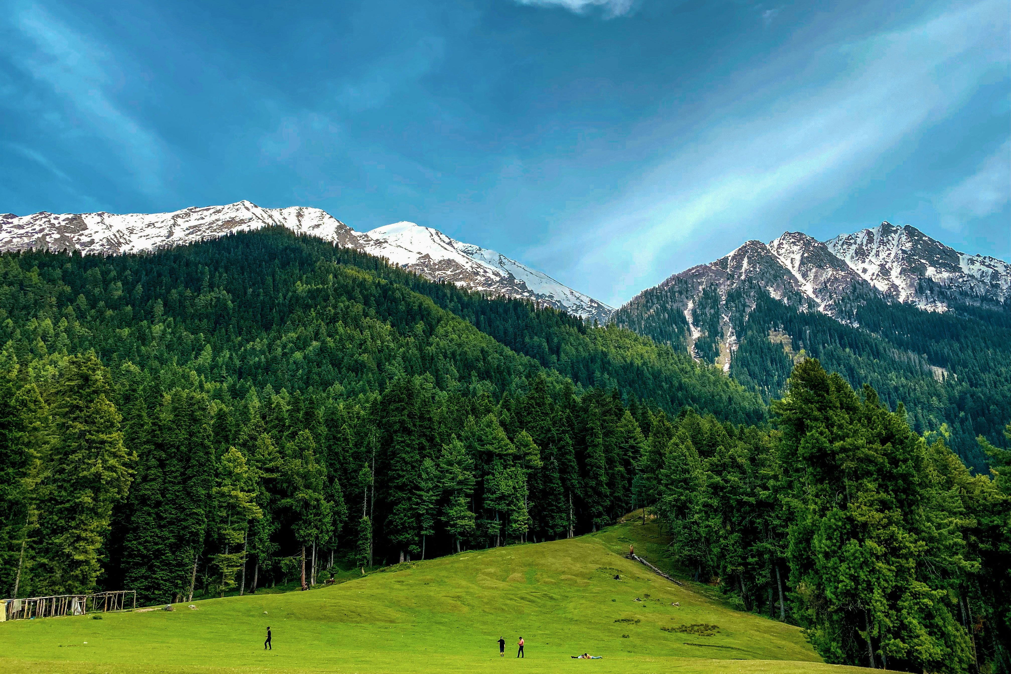 a grassy field with a mountain in the background