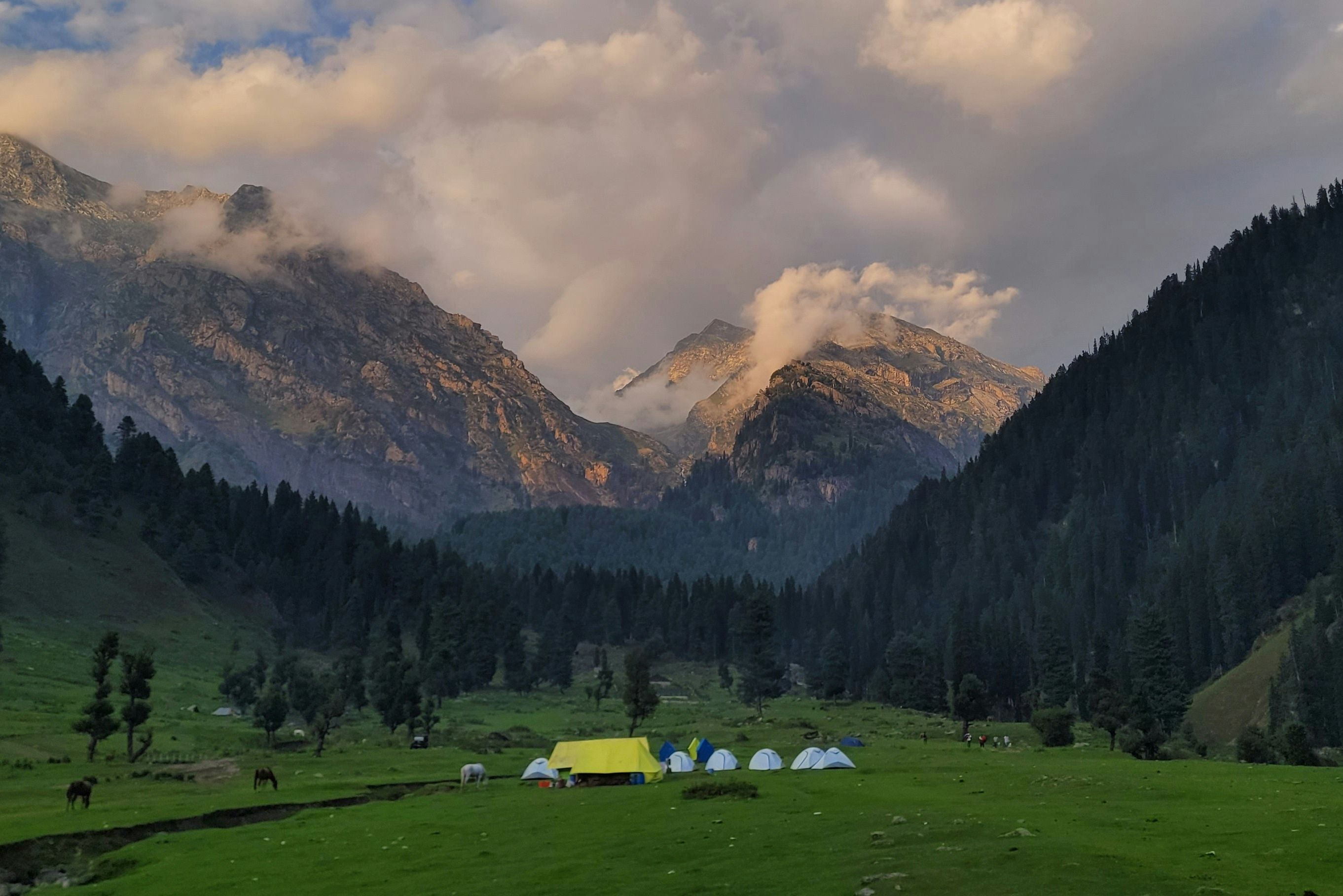 a grassy valley between mountains in sonmarg