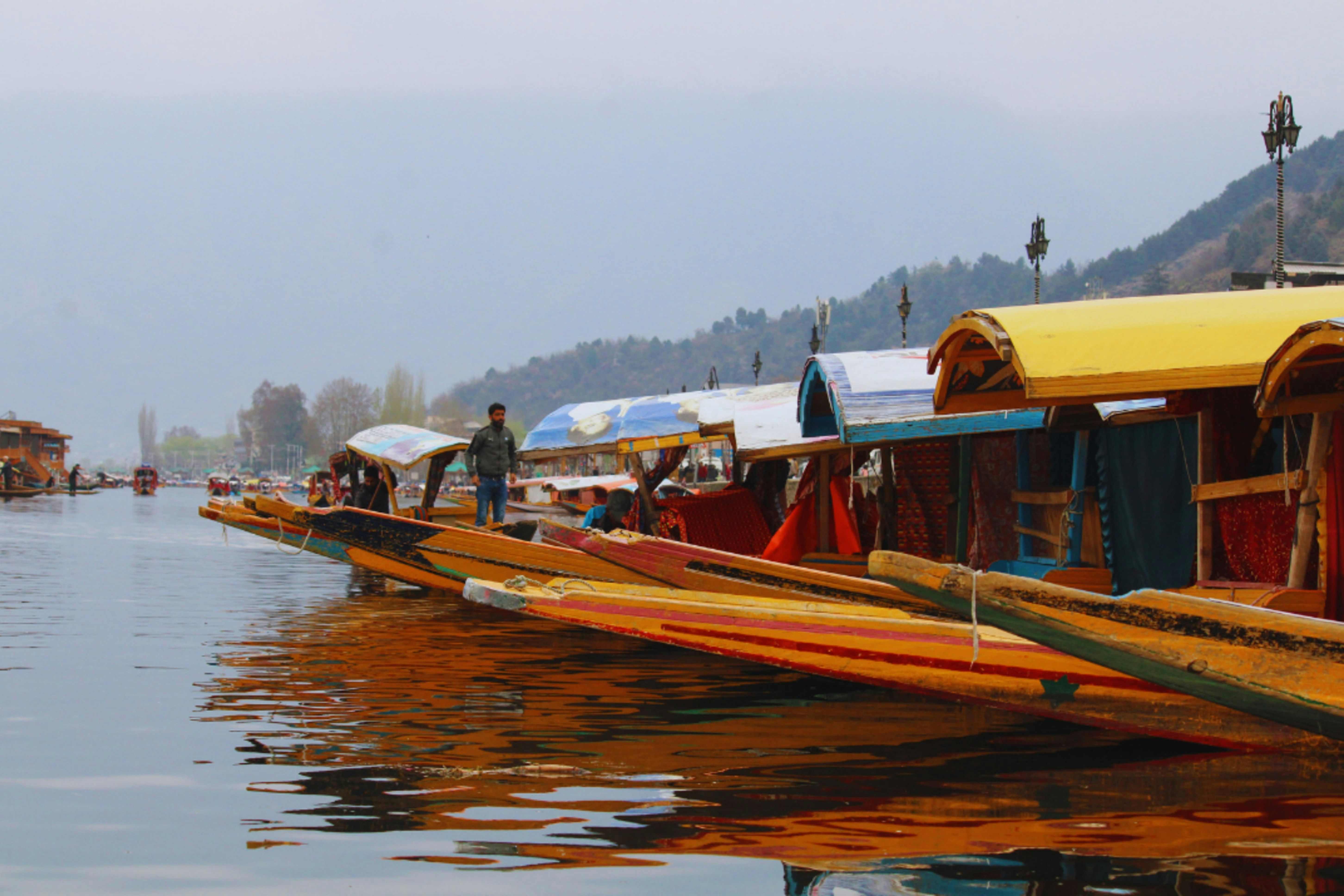 a group of shikara boats floating on top of dal lake
