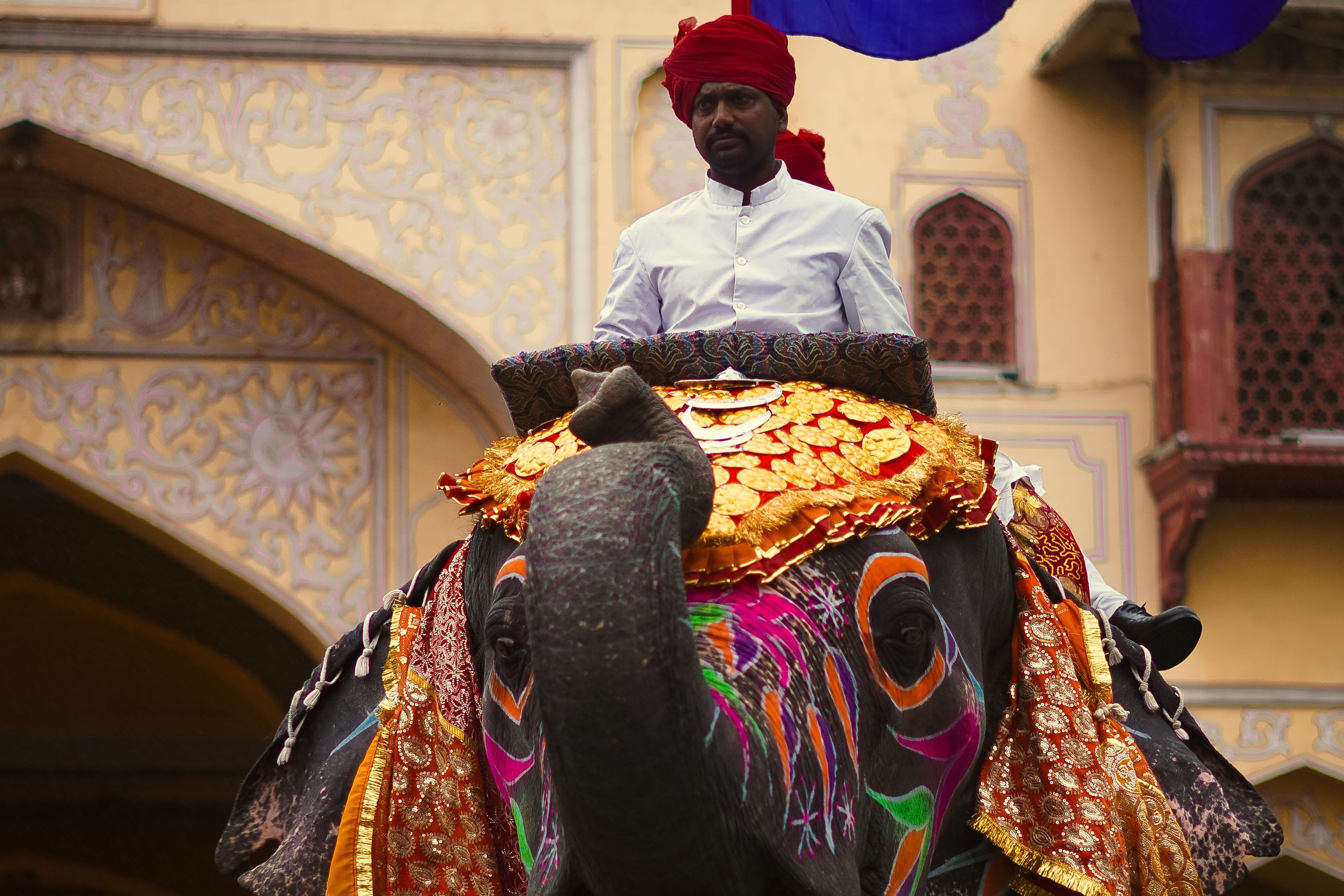 Elephant ride, Amber Fort, Jaipur