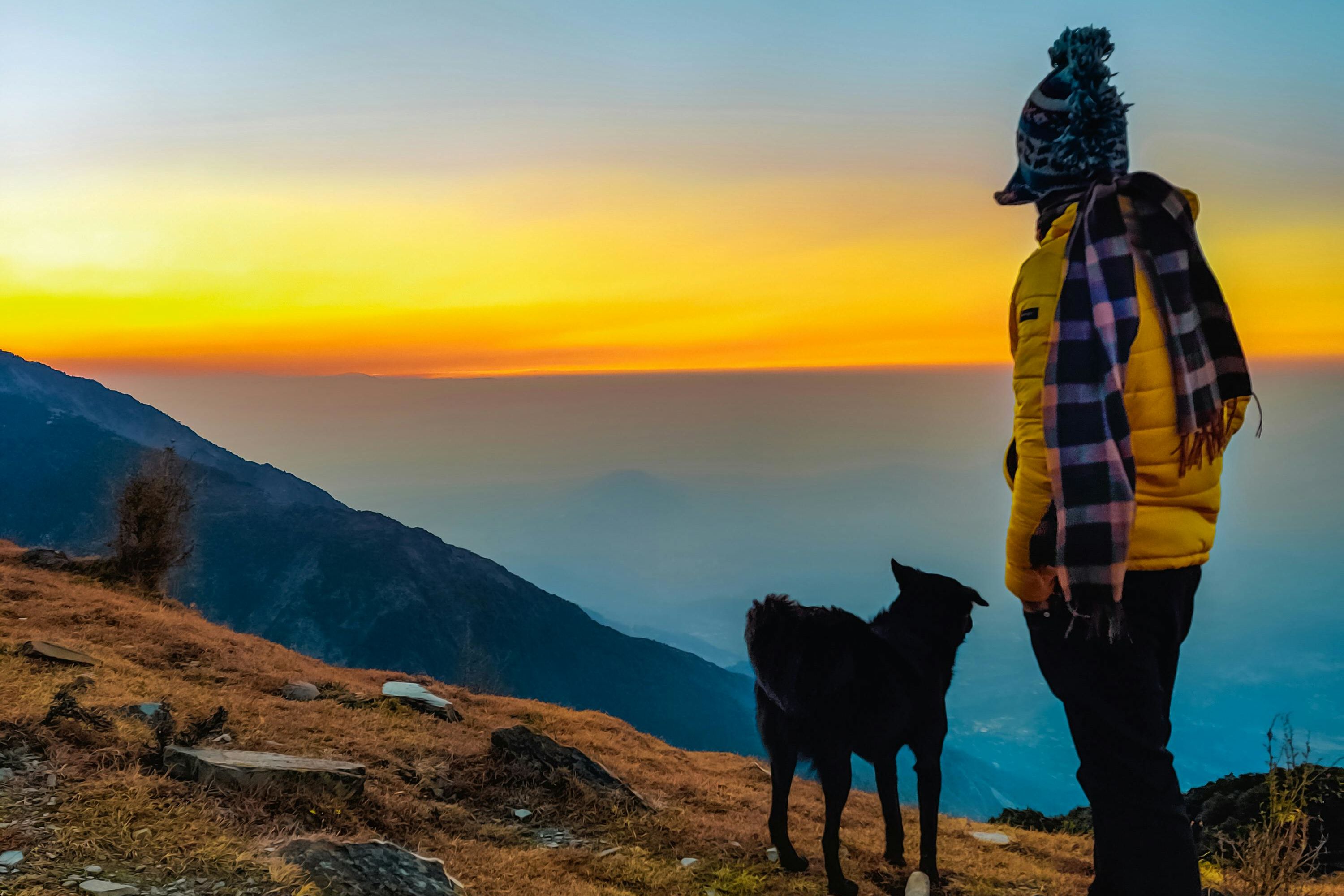 a person standing with his dog in the mountains