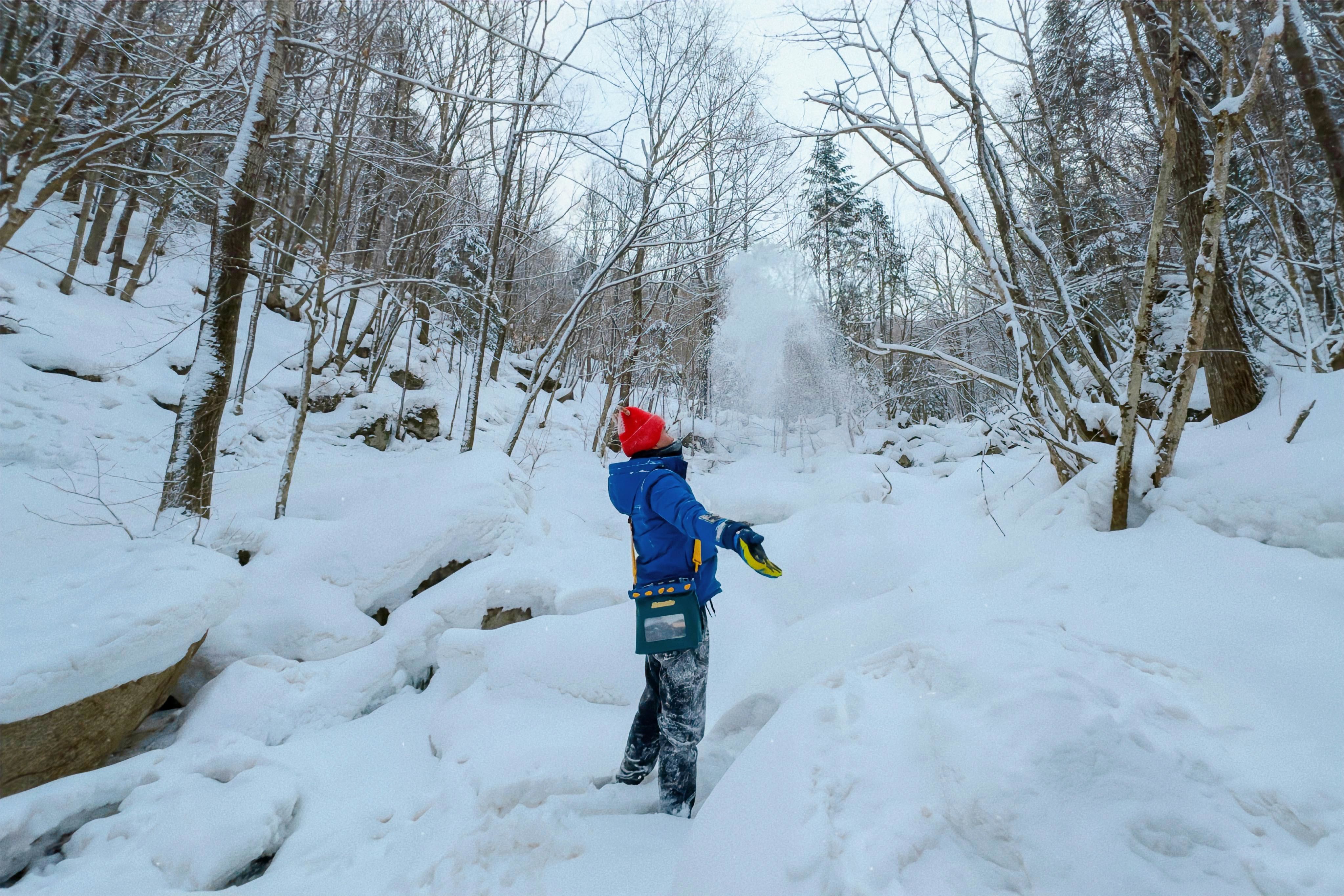 a person in a forest in winter