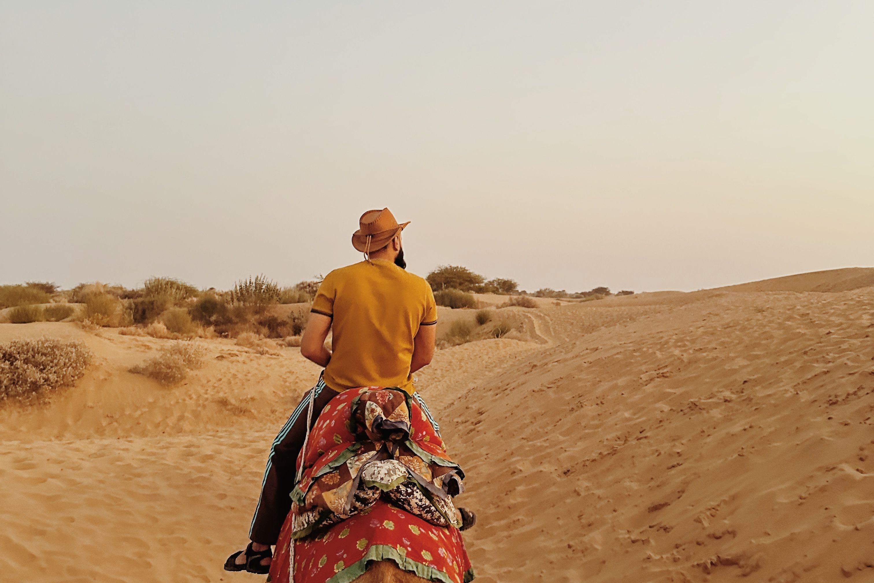 a person riding a camel through thar desert near jaisalmer during a beautiful sunset