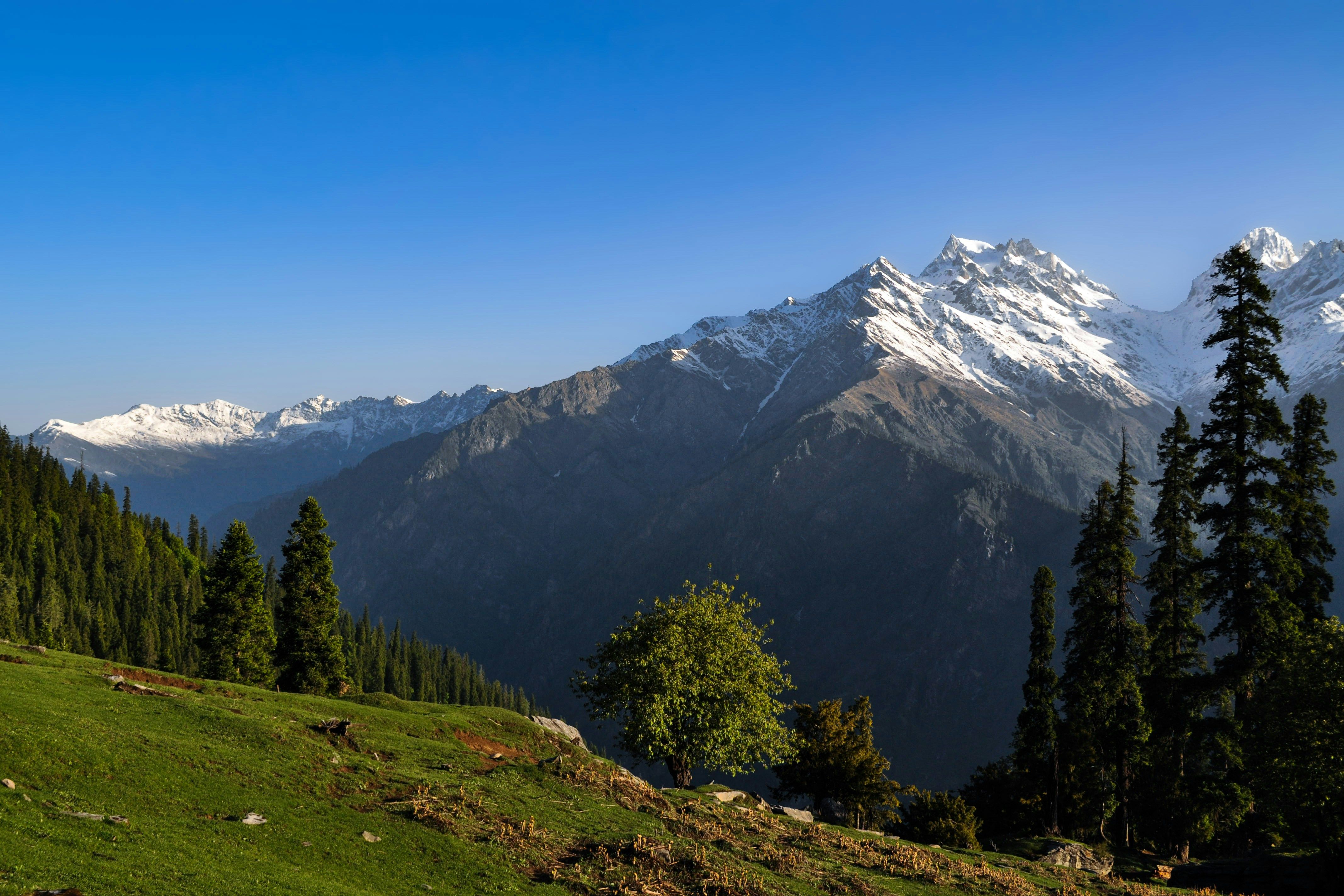 a view of a mountain range with trees in the foreground in kasol