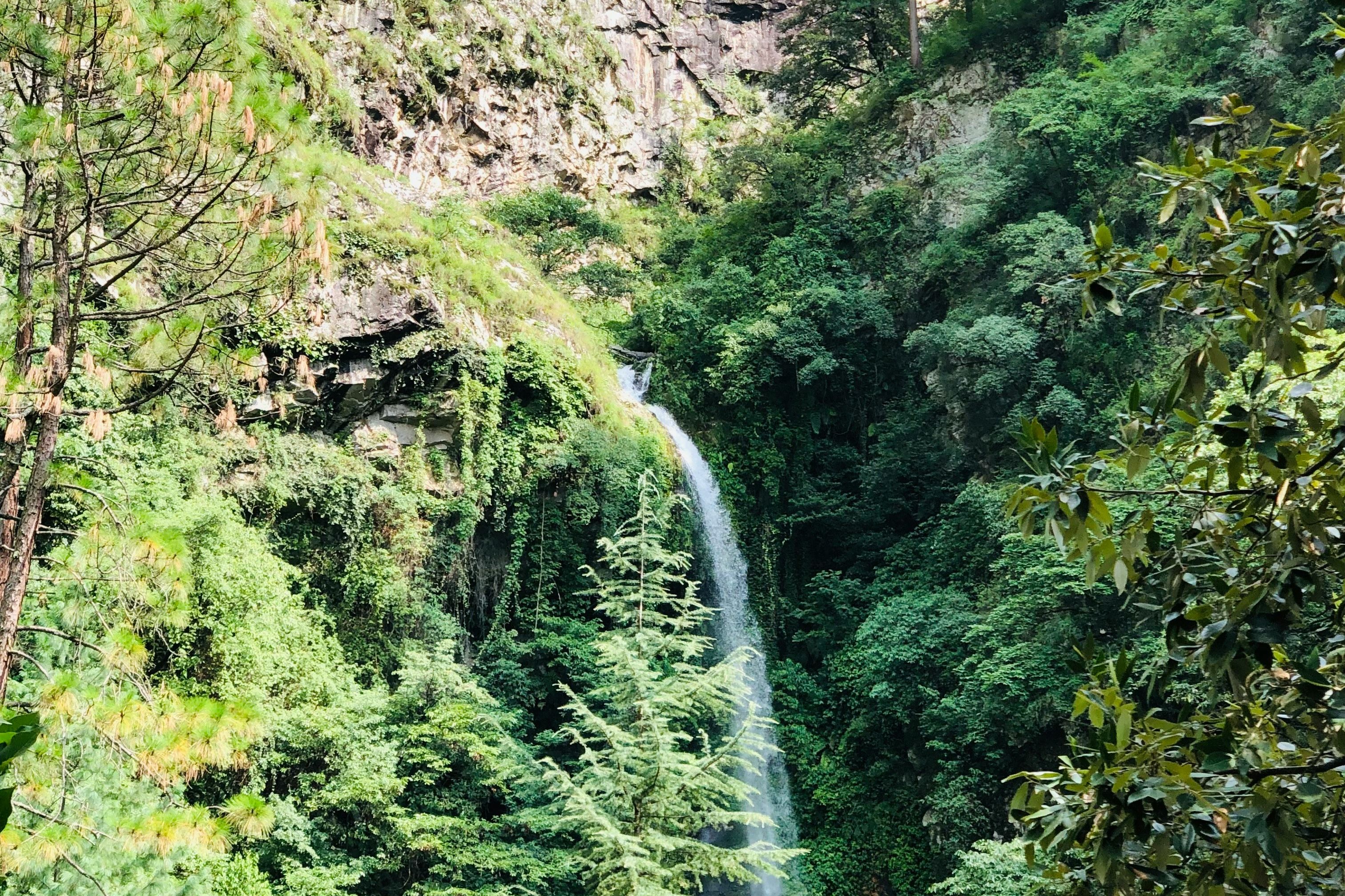 a waterfall in the middle of a lush green forest in jibhi
