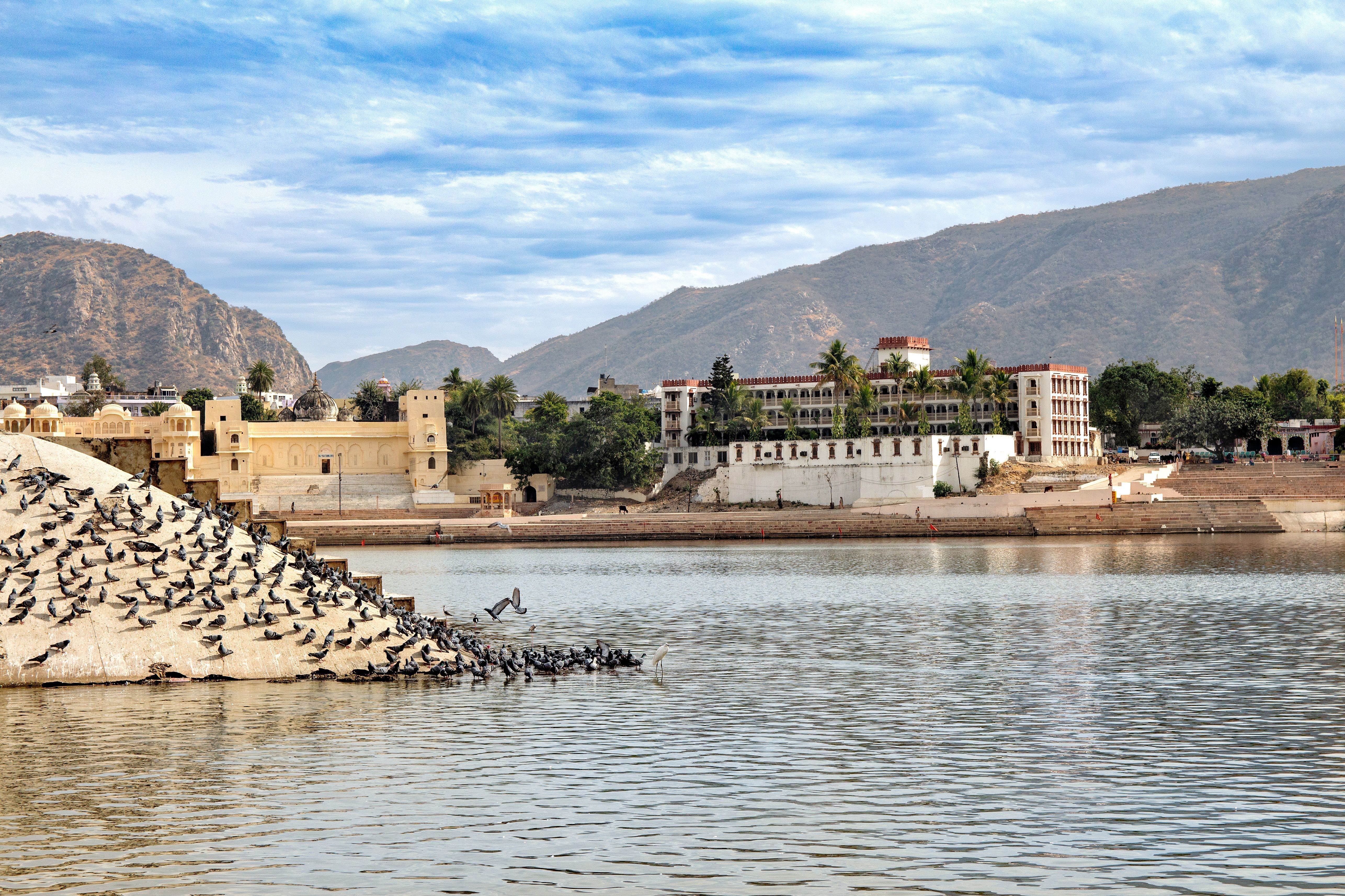 a beautiful view of pushkar lake with pigeons and historic architecture in the backdrop