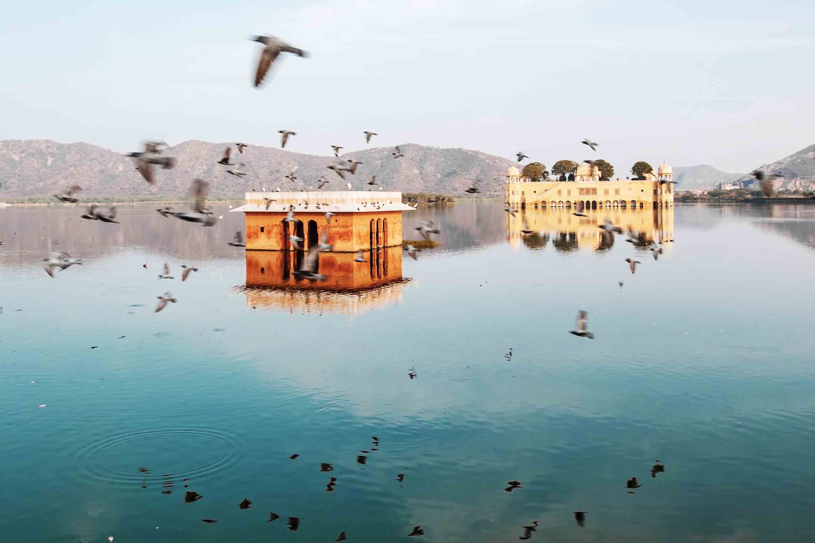 birds flying over the calm waters surrounding jal mahal in jaipur