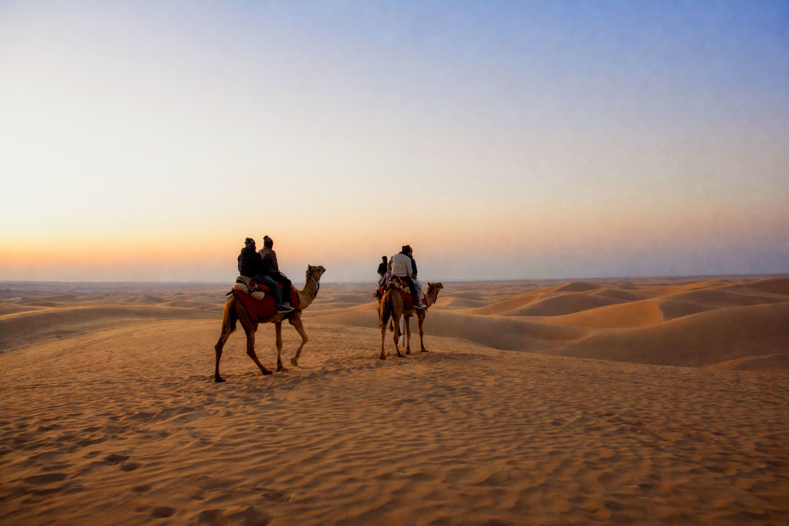 camel caravan at sunset in sam near jaisalmer