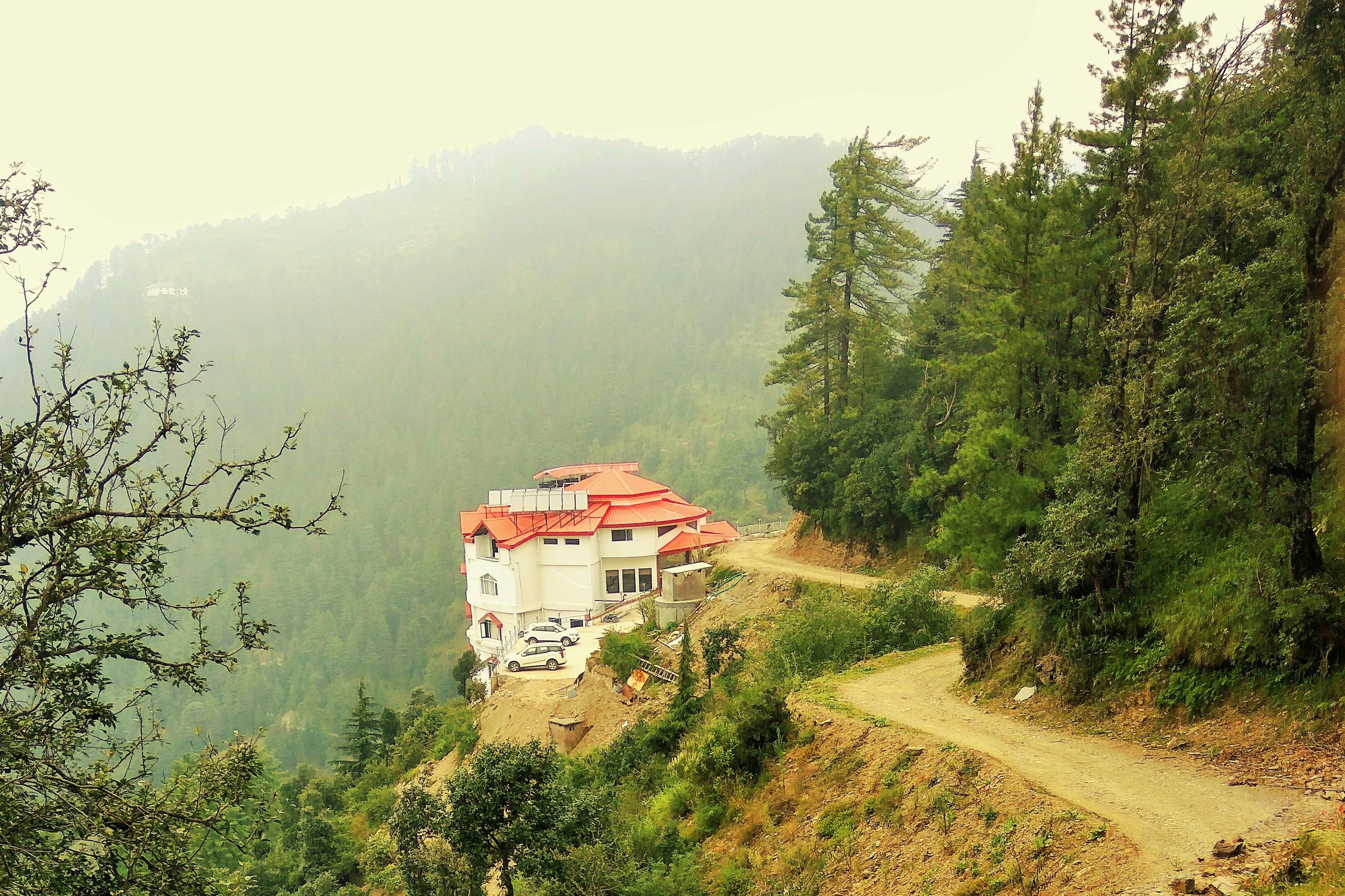 vehicles standing near a house surrounded by pine trees with green mountain in the backdrop
