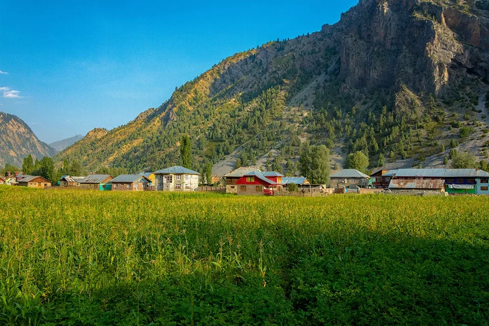 view of small houses surrounded by brown mountains in dawar village near gurez valley