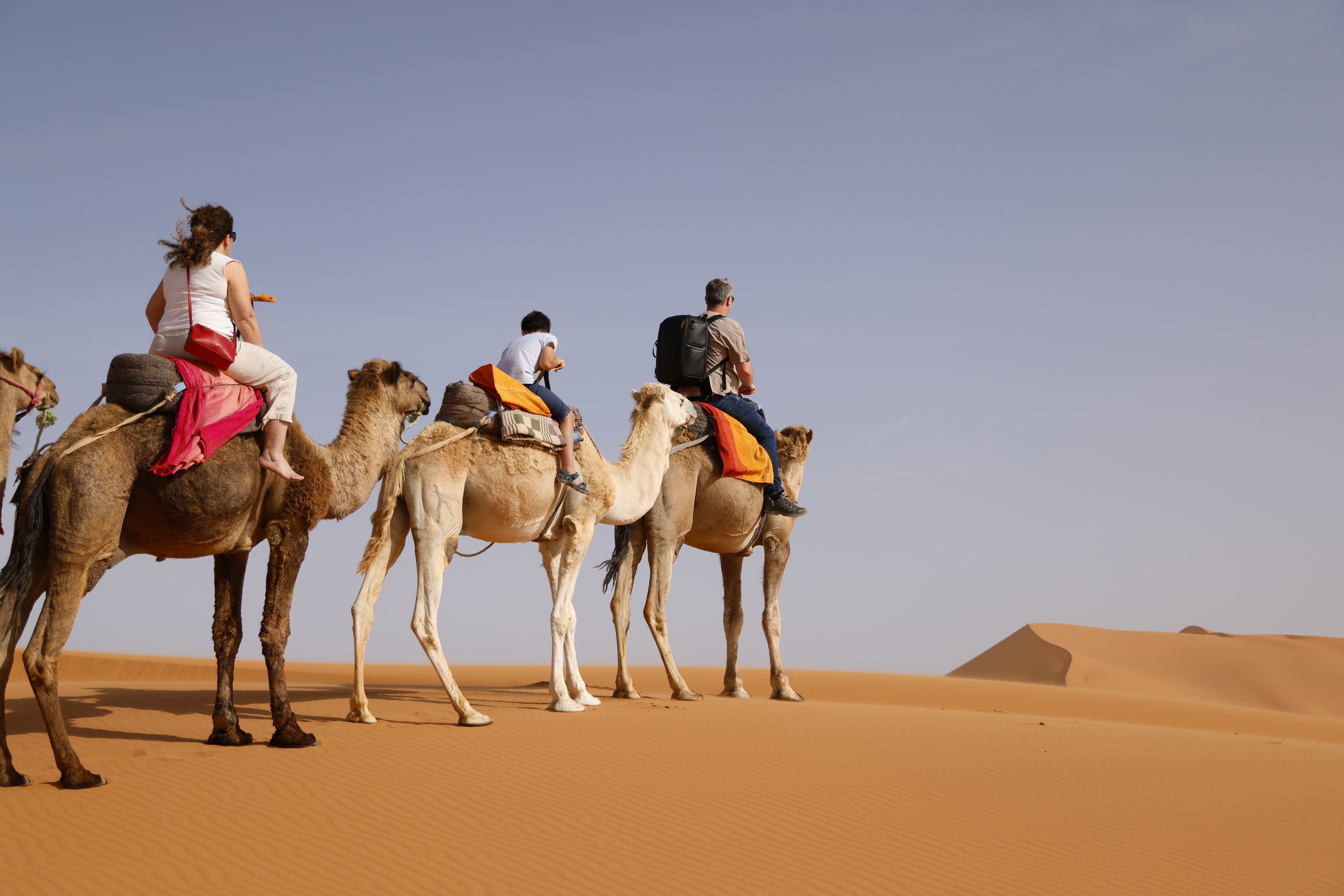 desert camel safari in serene desert landscape on camel back