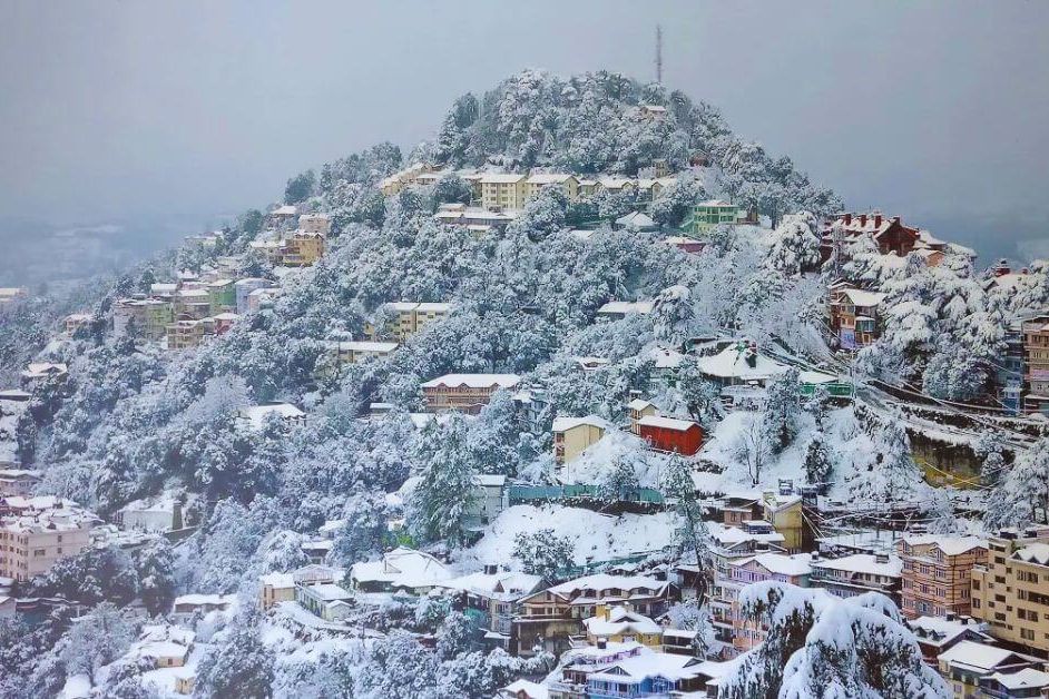 houses on a hill top in dharamshala surrounded by snow covered pine trees during daytime