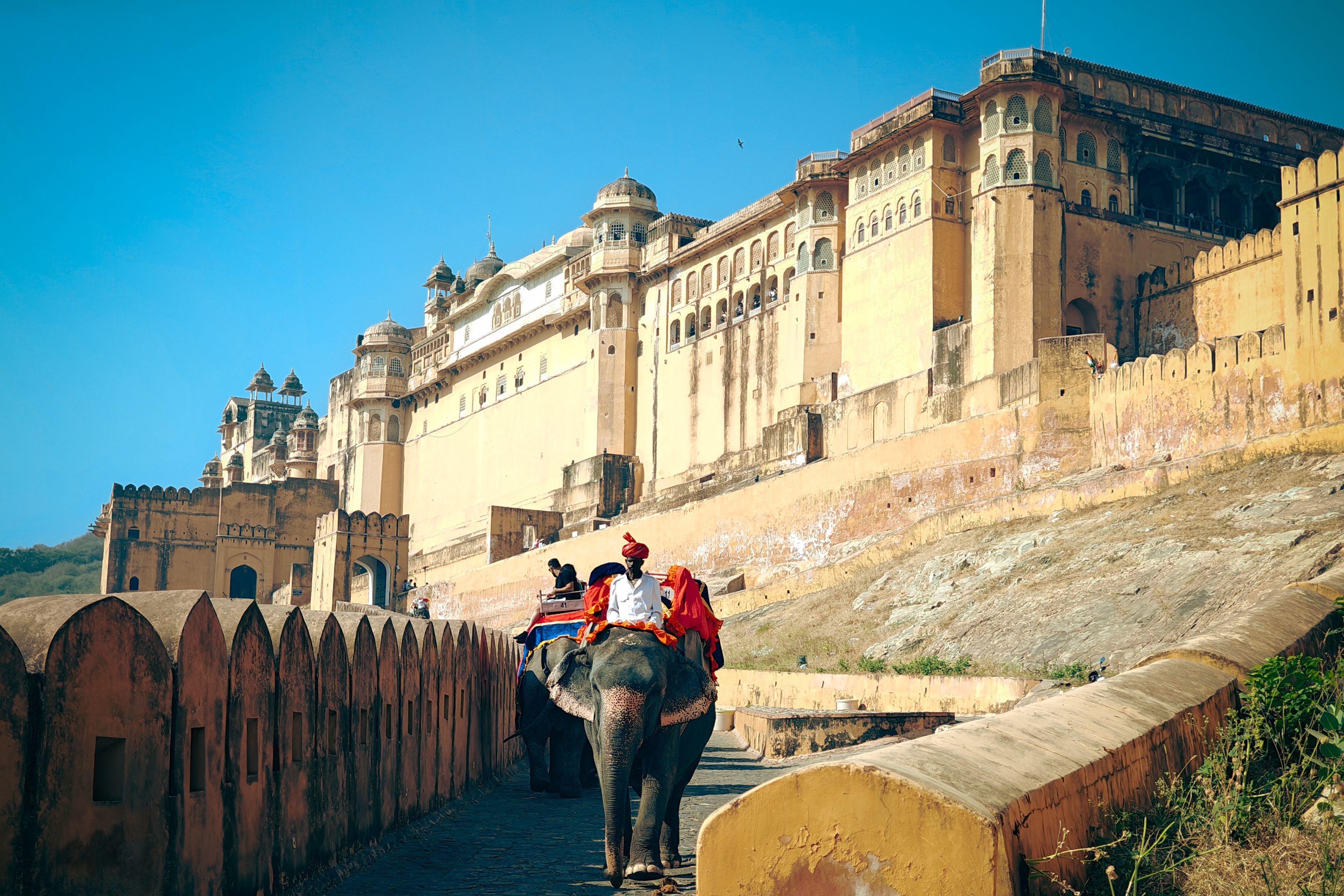 elephant ride at amber fort in jaipur rajasthan