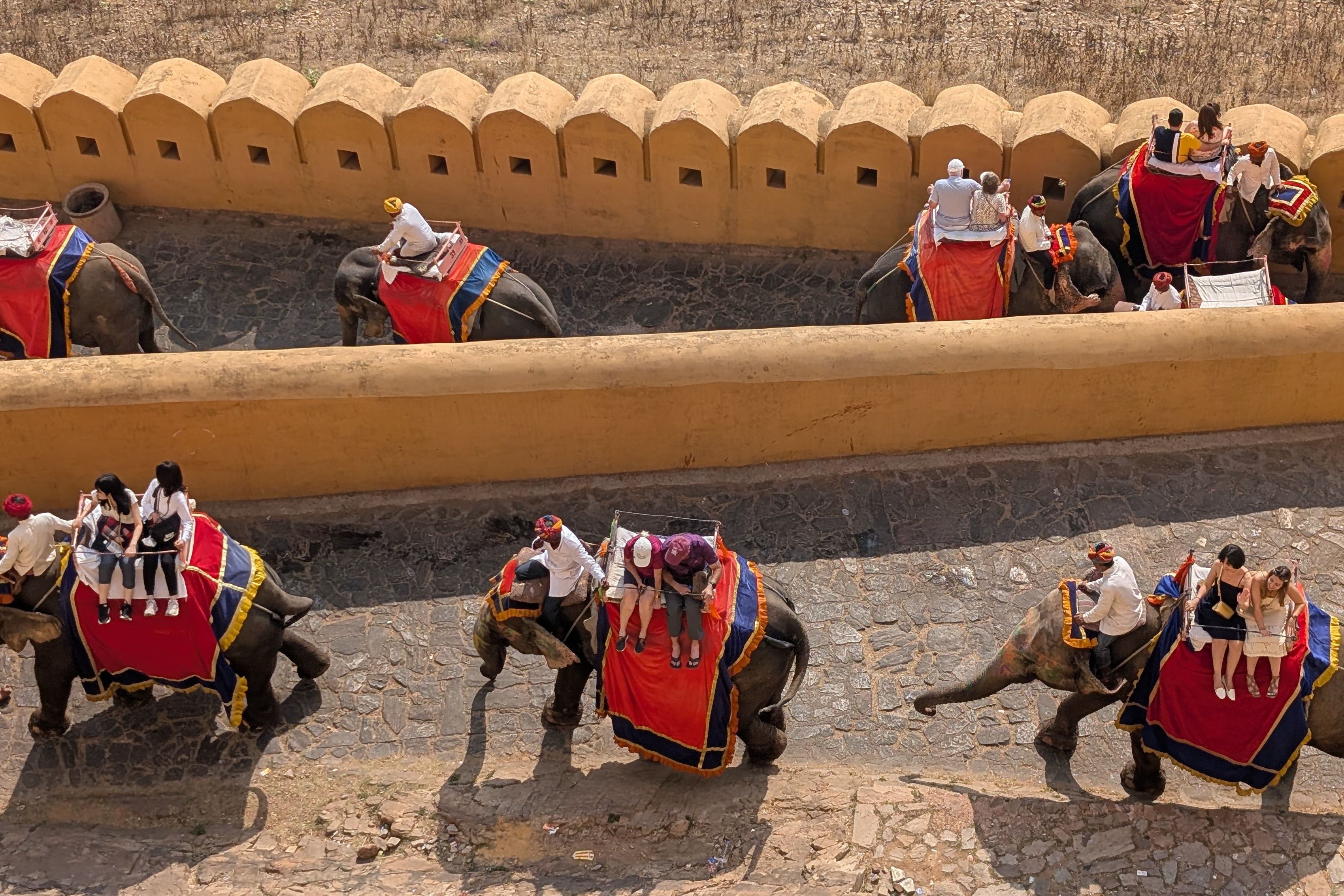 elephant ride at amber fort in jaipur rajasthan