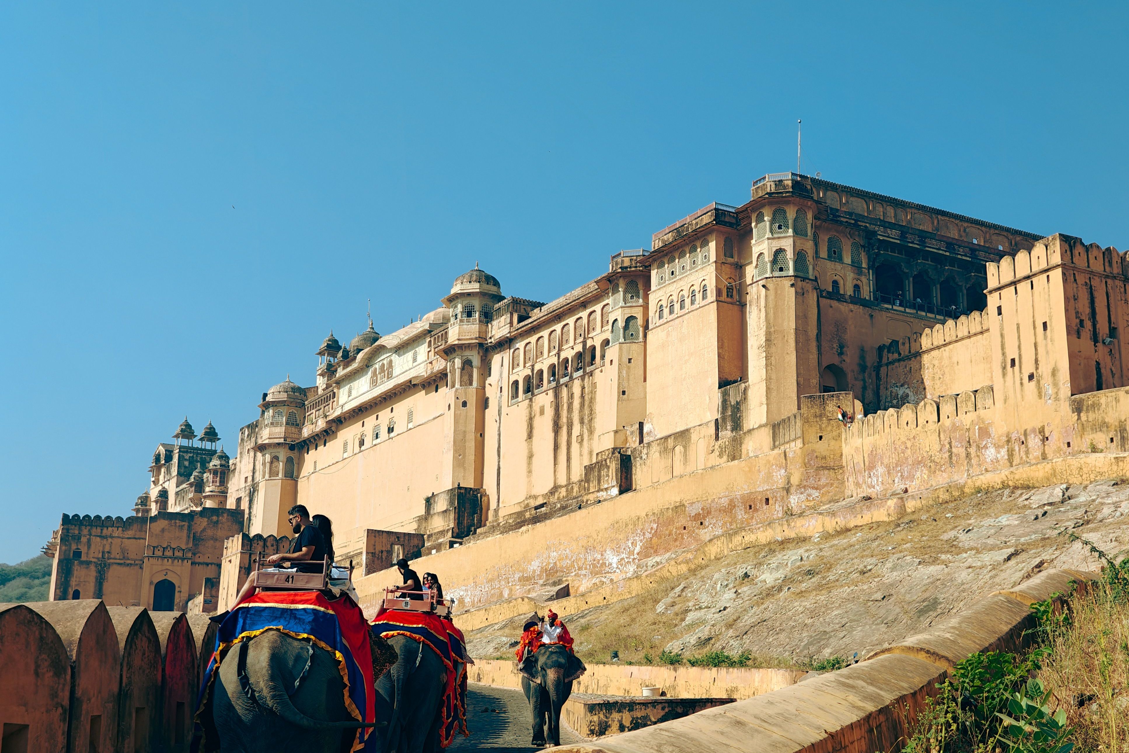 elephant ride at amber fort in jaipur rajasthan