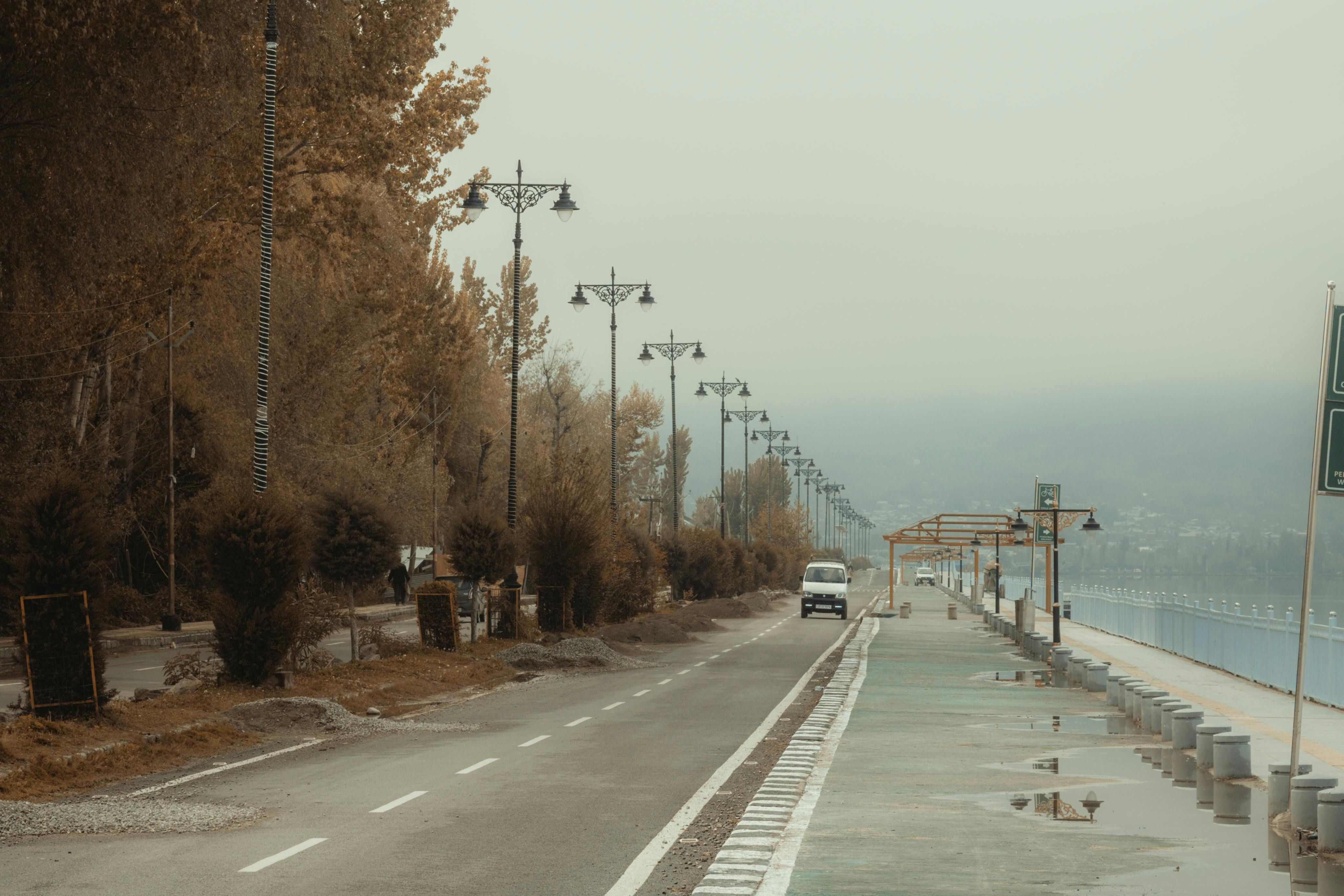 empty street next to trees with single car at a distance