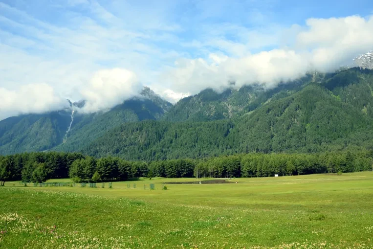 view of green fields surrounded by green mountains at pahalgam golf course