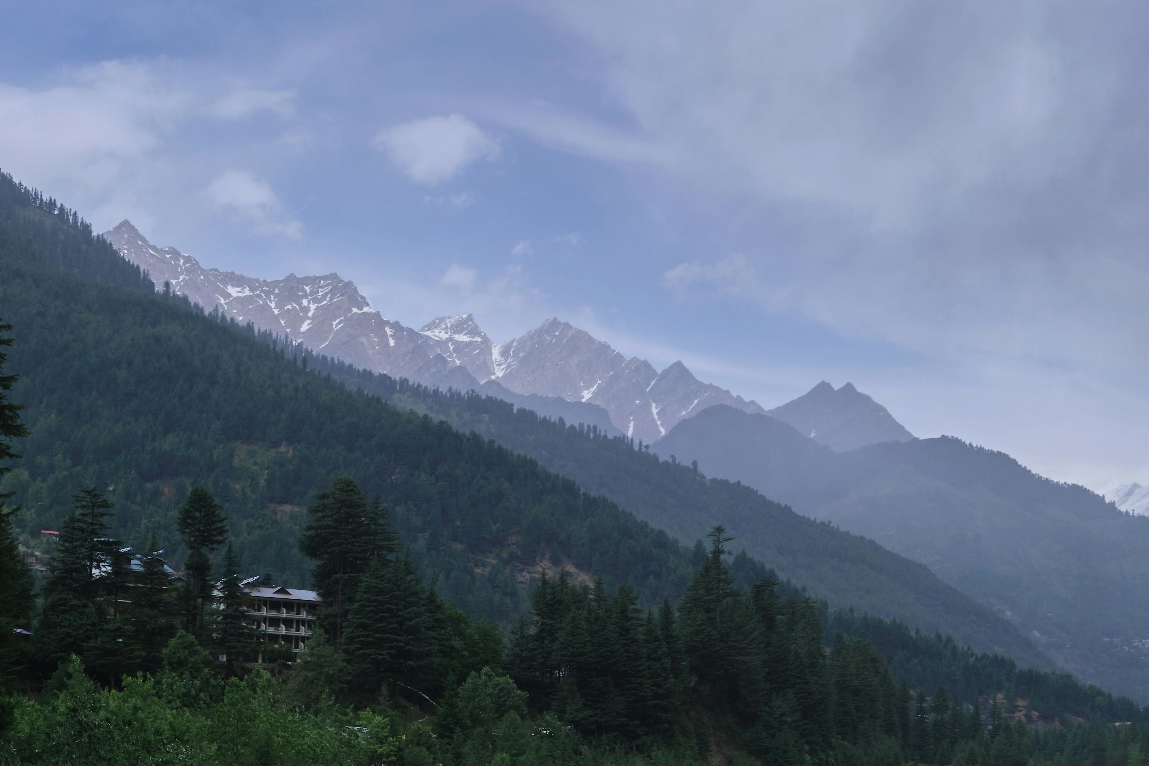 green mountains covered in pine trees in manali