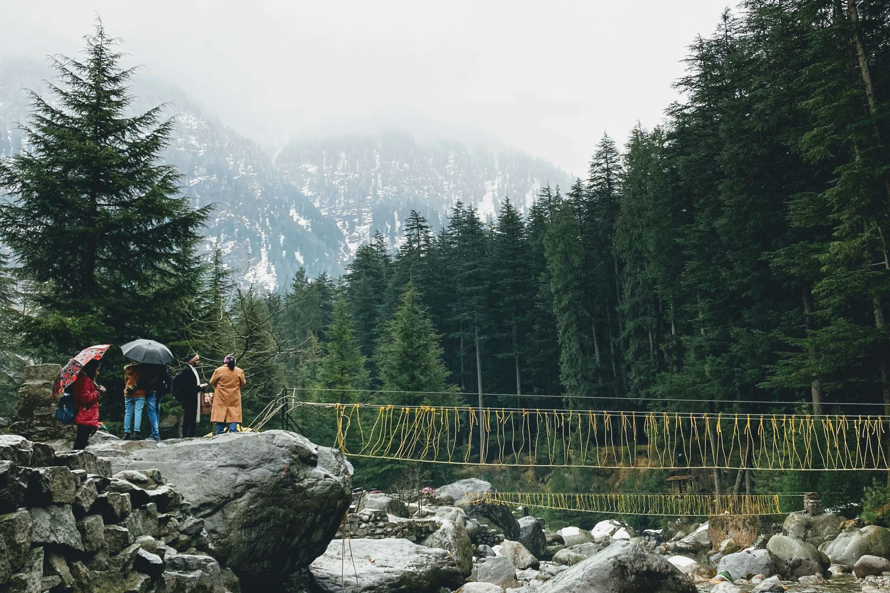 green trees besides rocks and river in manali