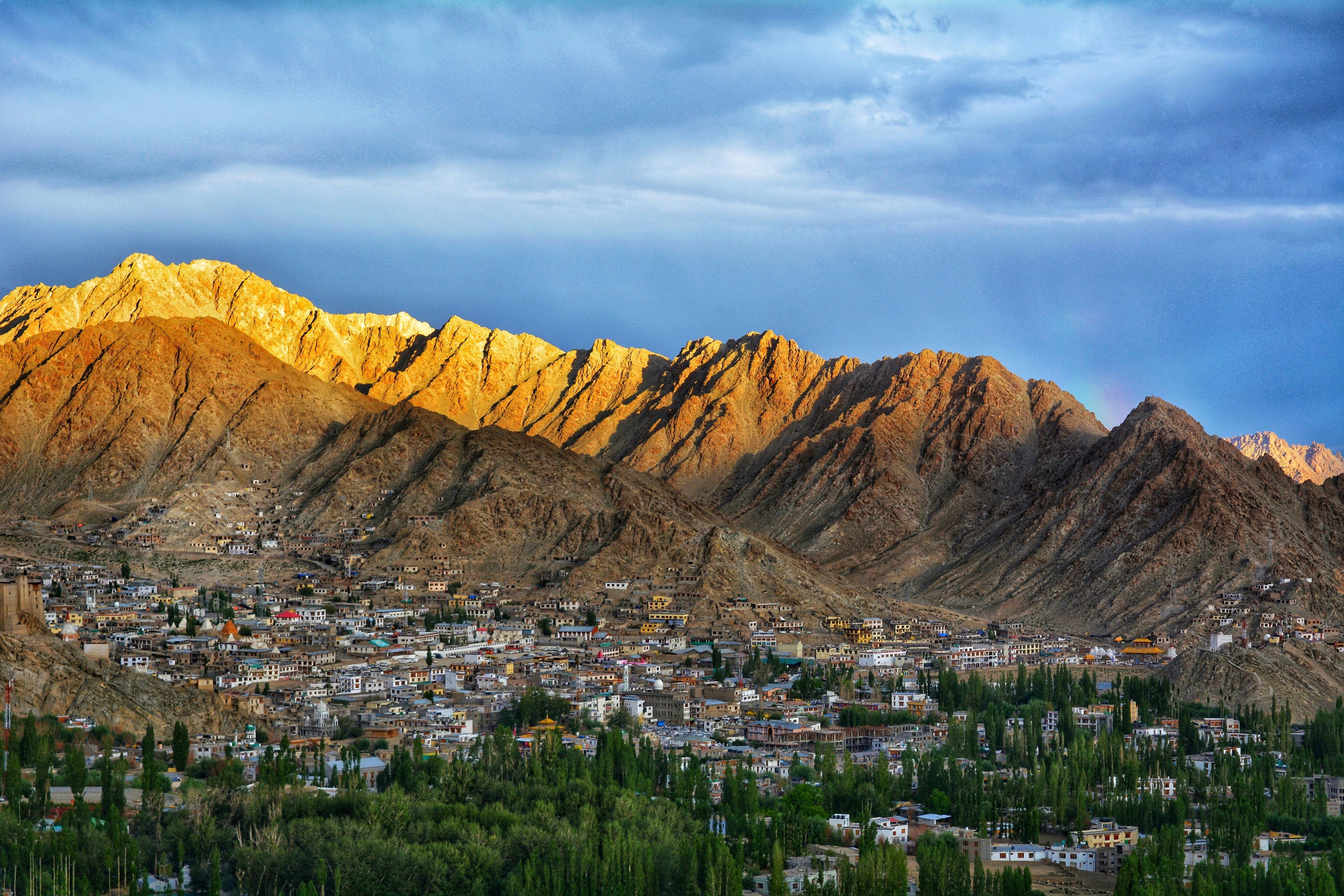 green trees near brown mountasin under white clouds during daytime in leh city of ladakh