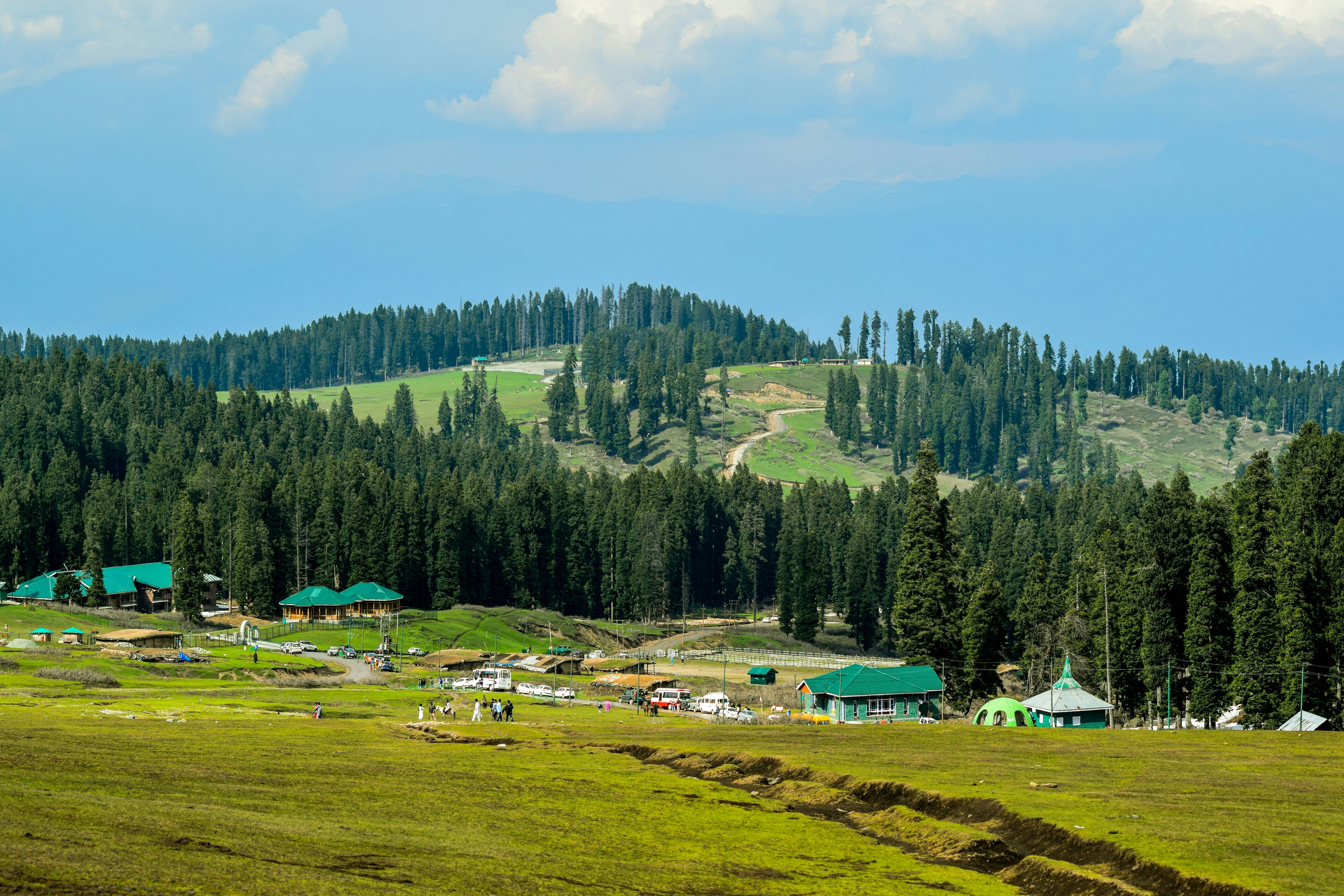 green trees on mountain during daytime in doodhpathri