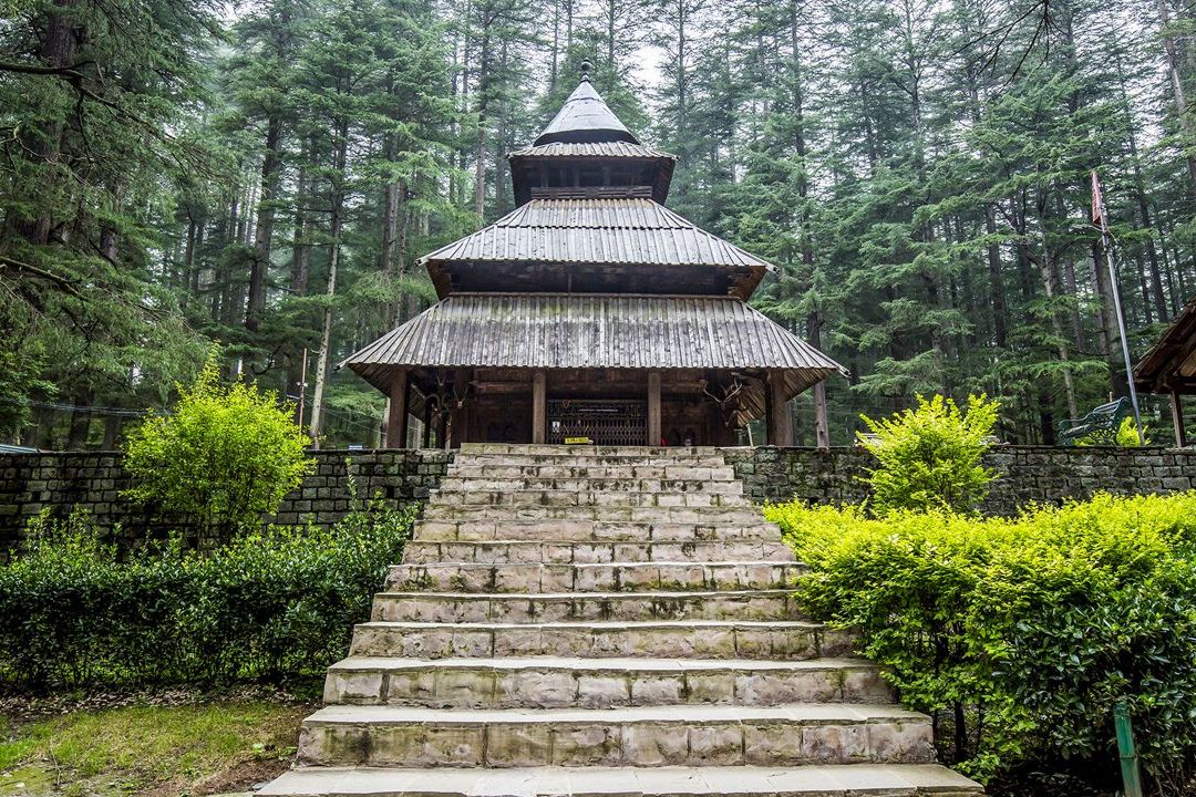 hadimba devi temple with pine trees in the backdrop during daytime