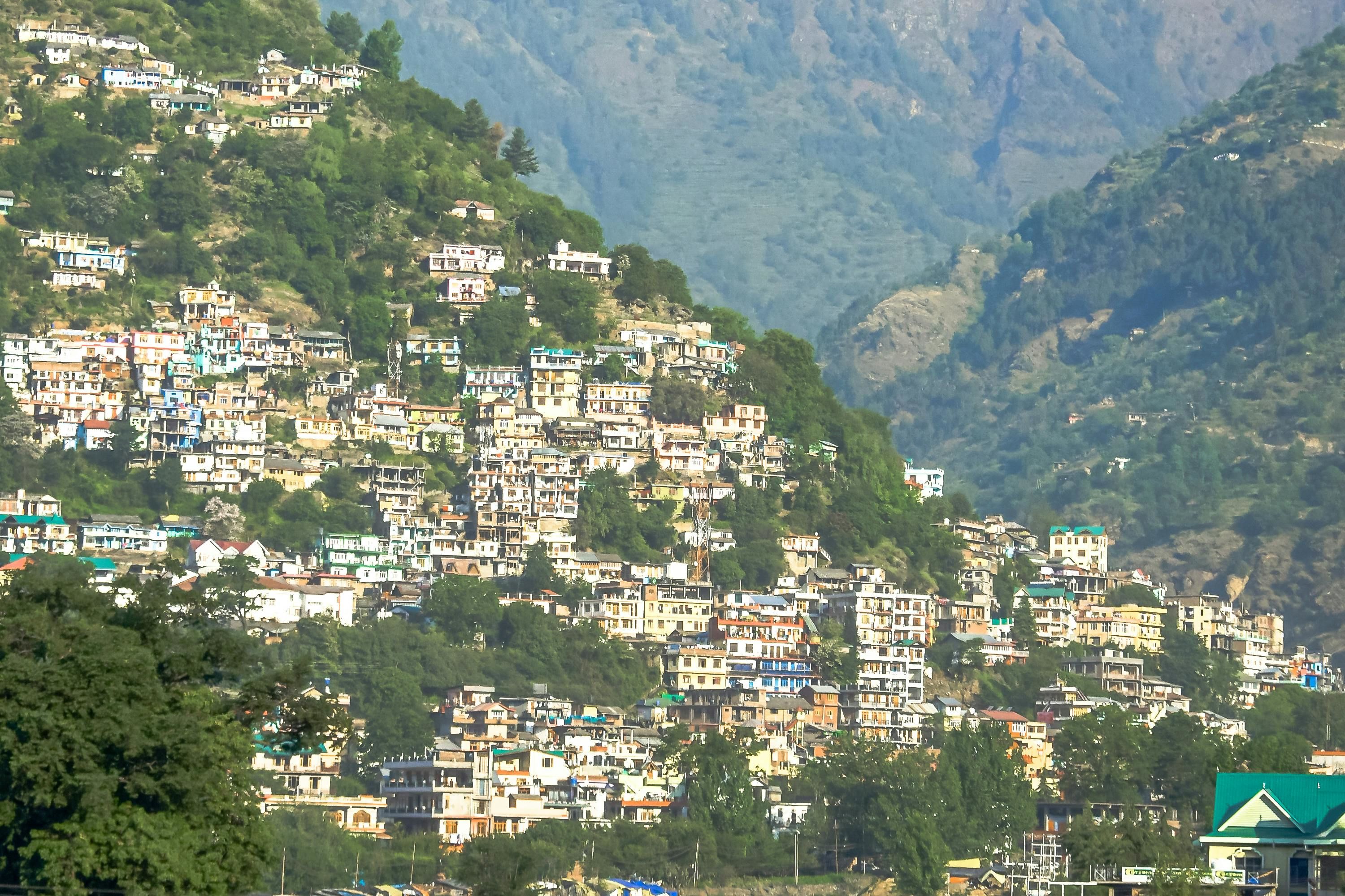 houses on top of a hills covered with pine trees in mandi town in himachal pradesh