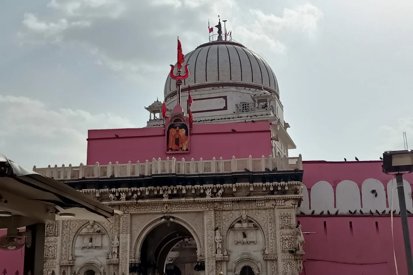 inside view of karni mata temple in bikaner