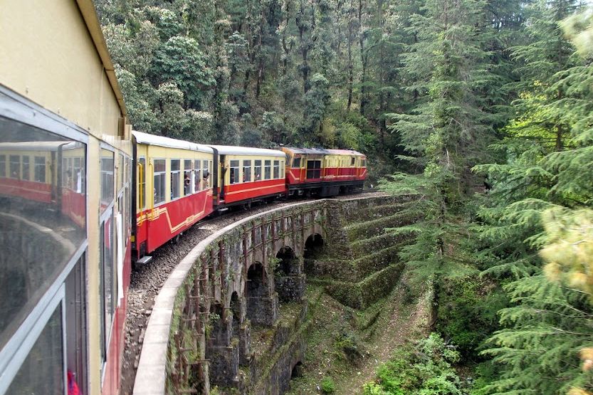 kalka shimla toy train passing through green pine trees