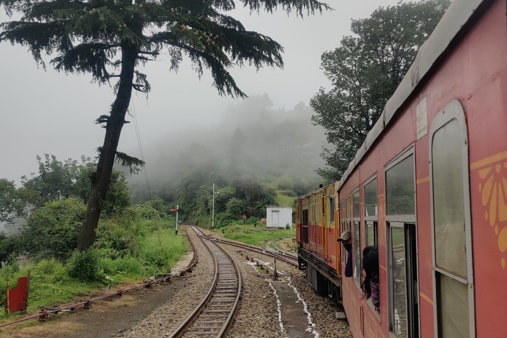 the kalka shimla toy train passing through misty mountains