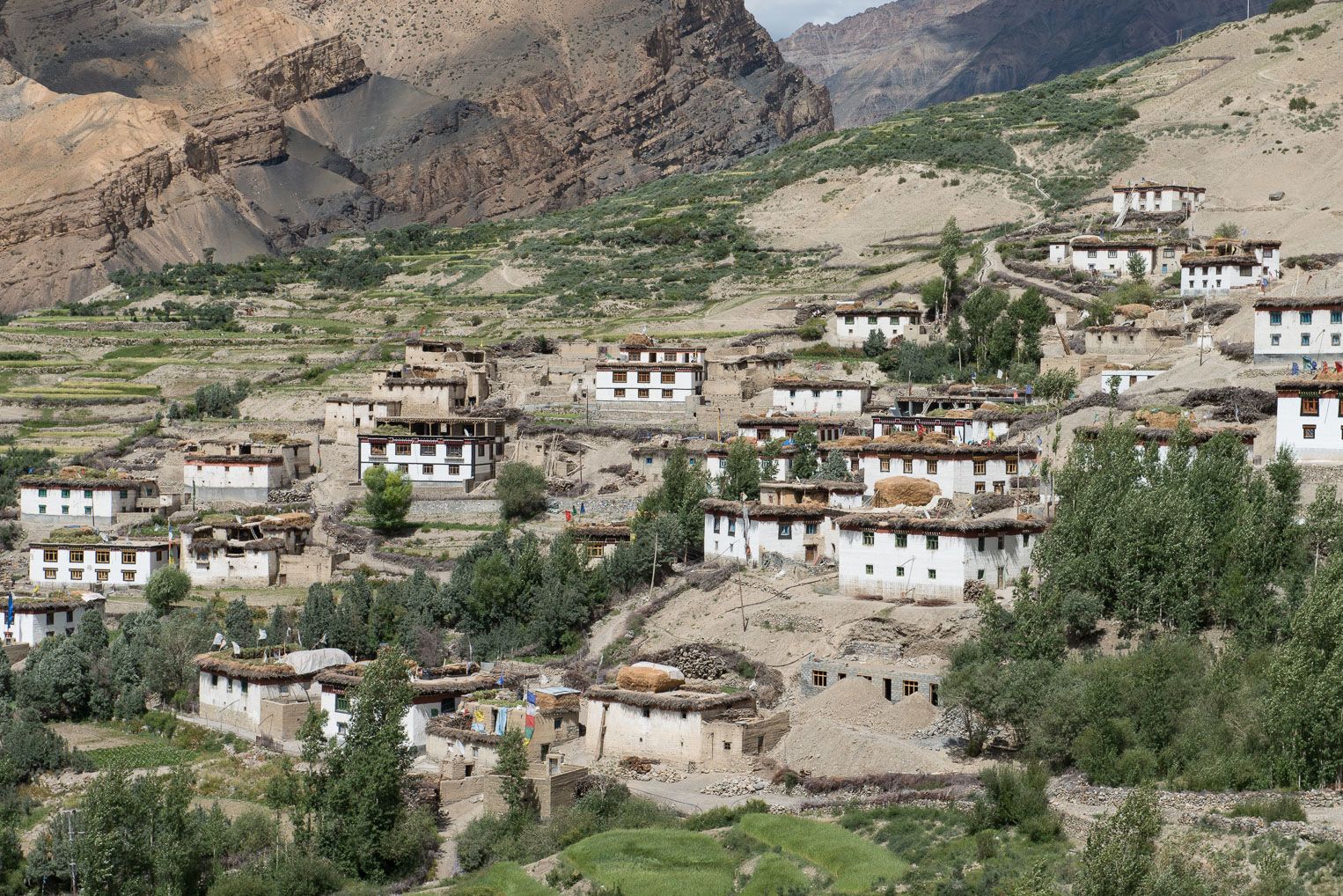 view of tradition house with brown mountain in the backdrop in lhalung village of spiti valley