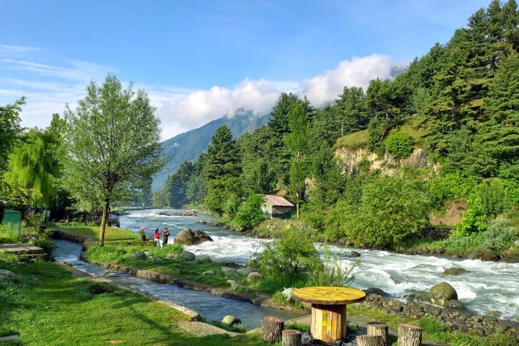 lidder river flowing through pine forest in pahalgam
