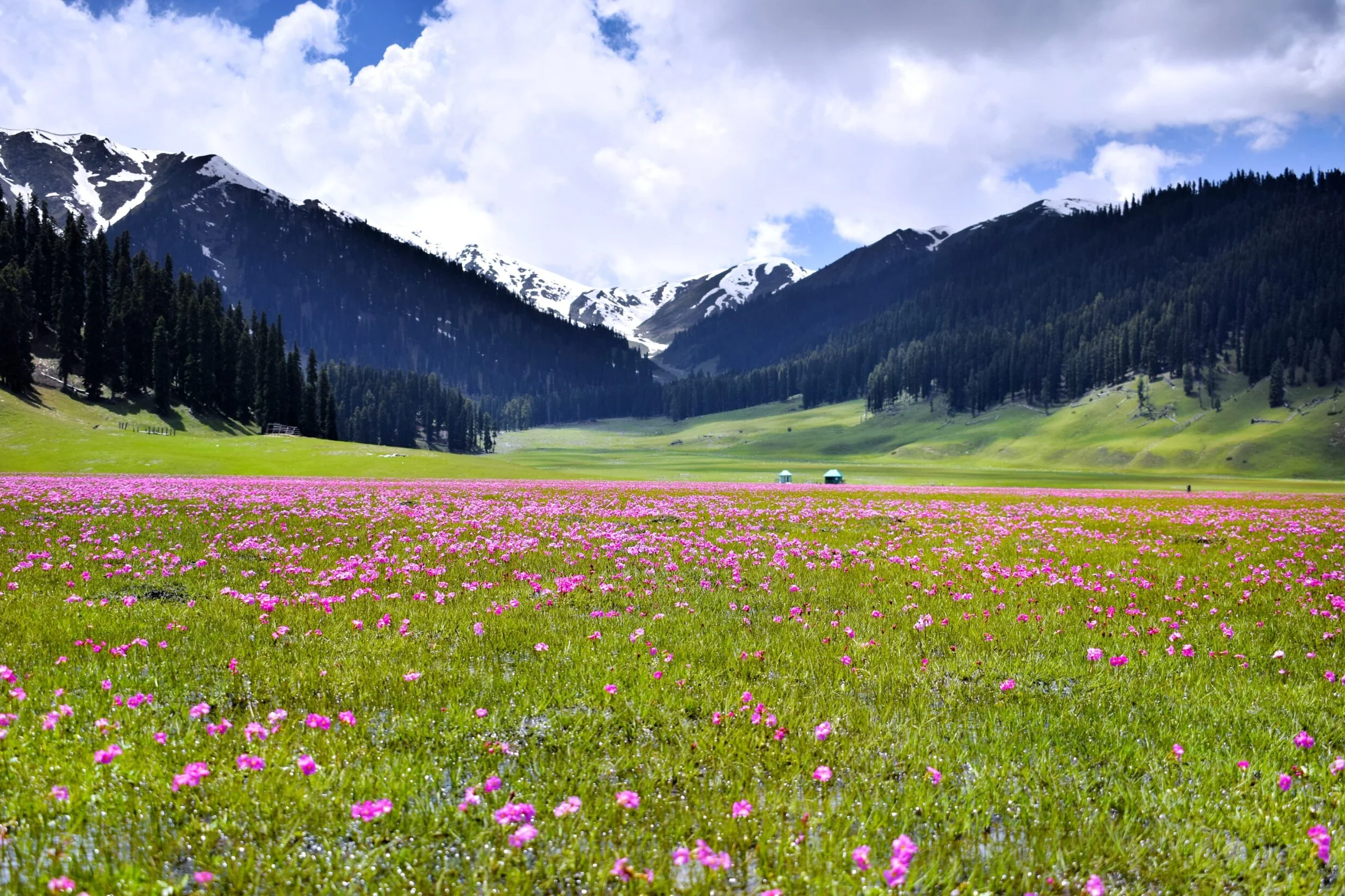 view of medows in bangus valley in kashmir