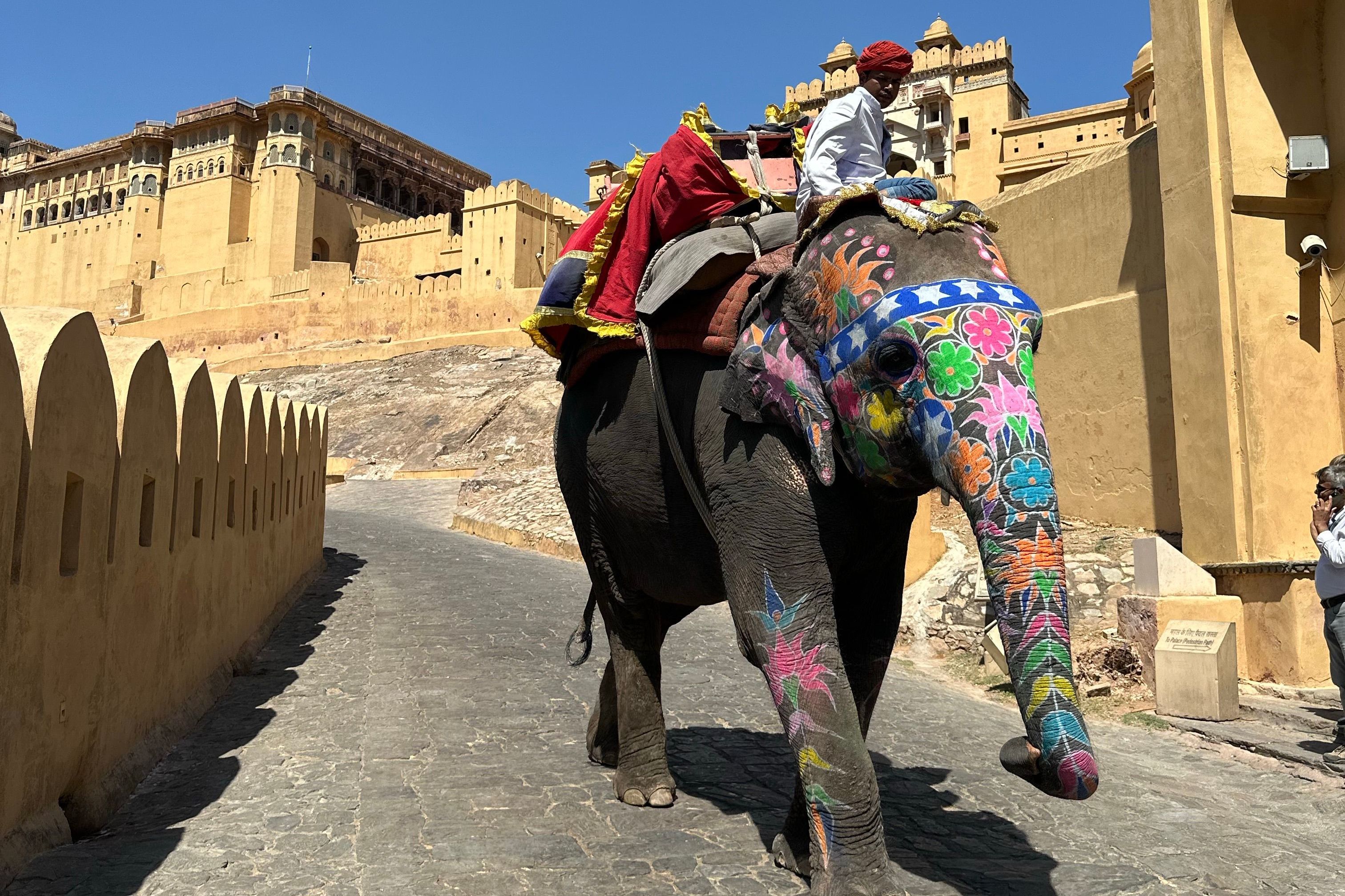 painted elephant at amber fort in jaipur rajasthan