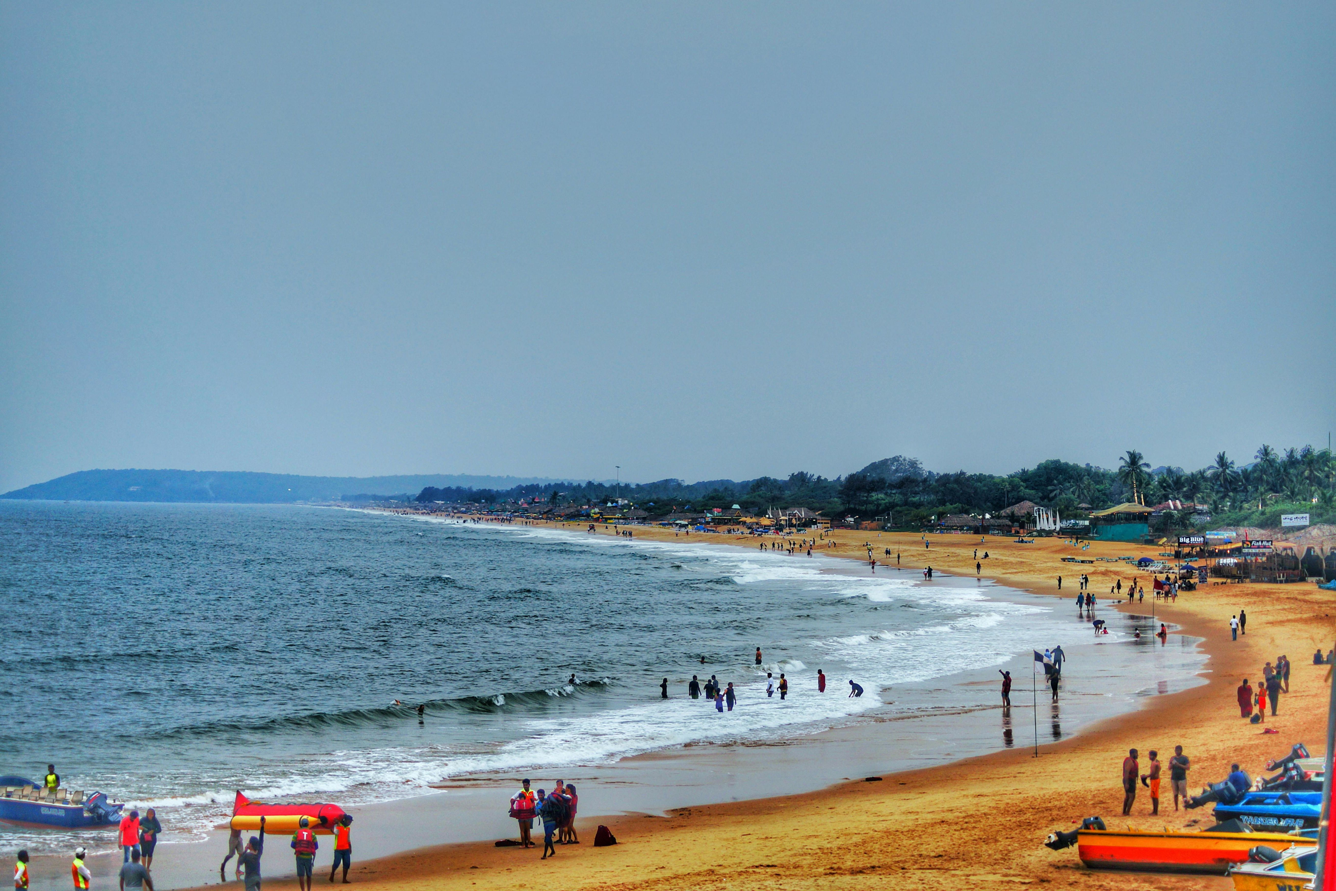 people on candolim beach surrounded with trees