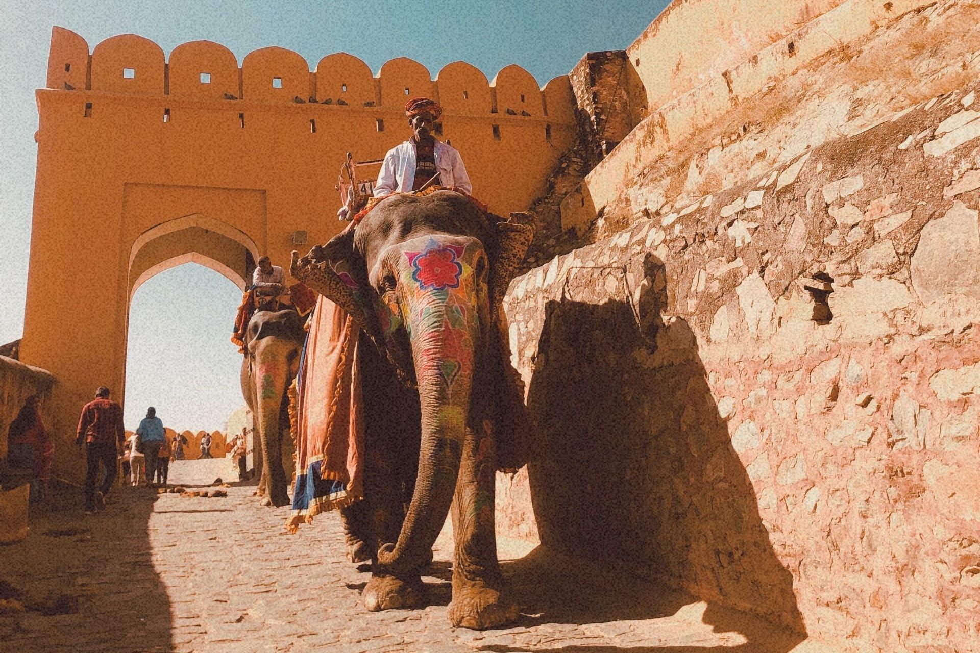 people sitting on elephants near amber fort in jaipur rajasthan