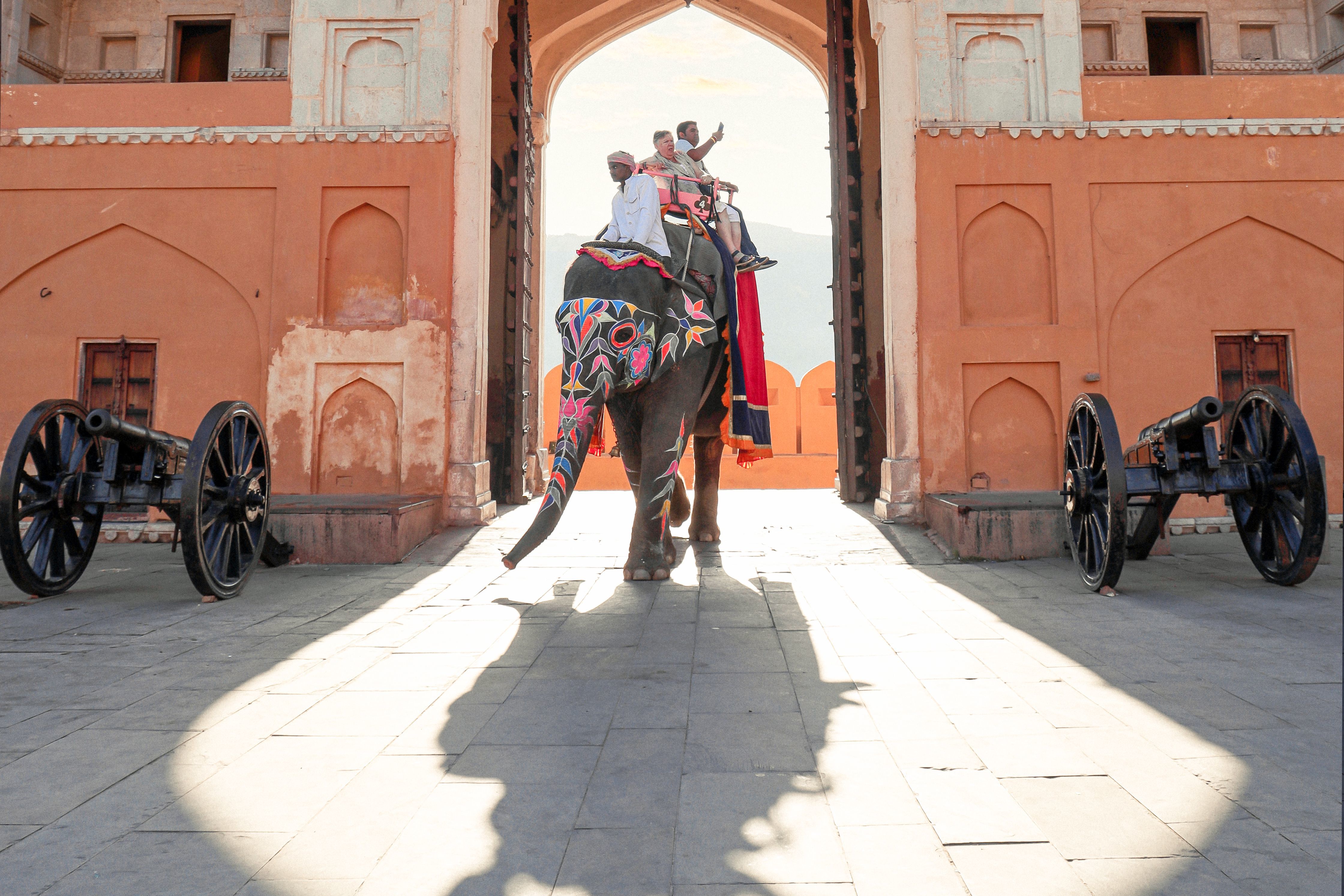 people riding an elephant near amber fort in jaipur rajasthan