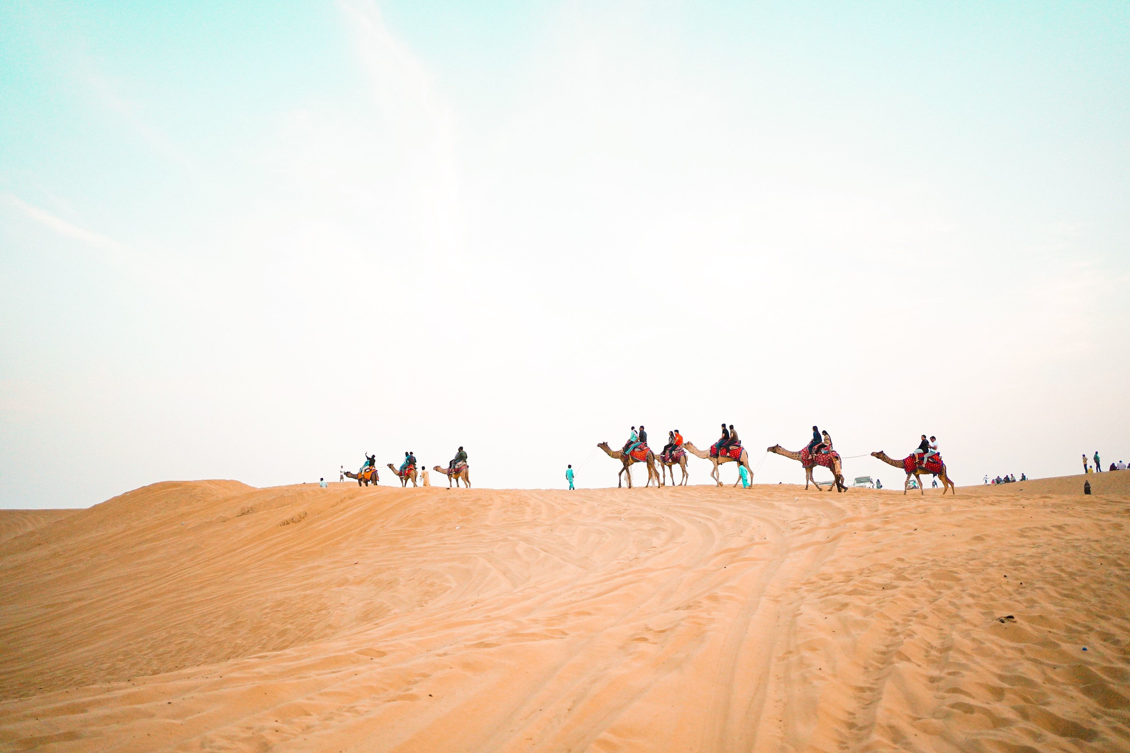 people riding camel on desert at sam sand dunes in rajasthan