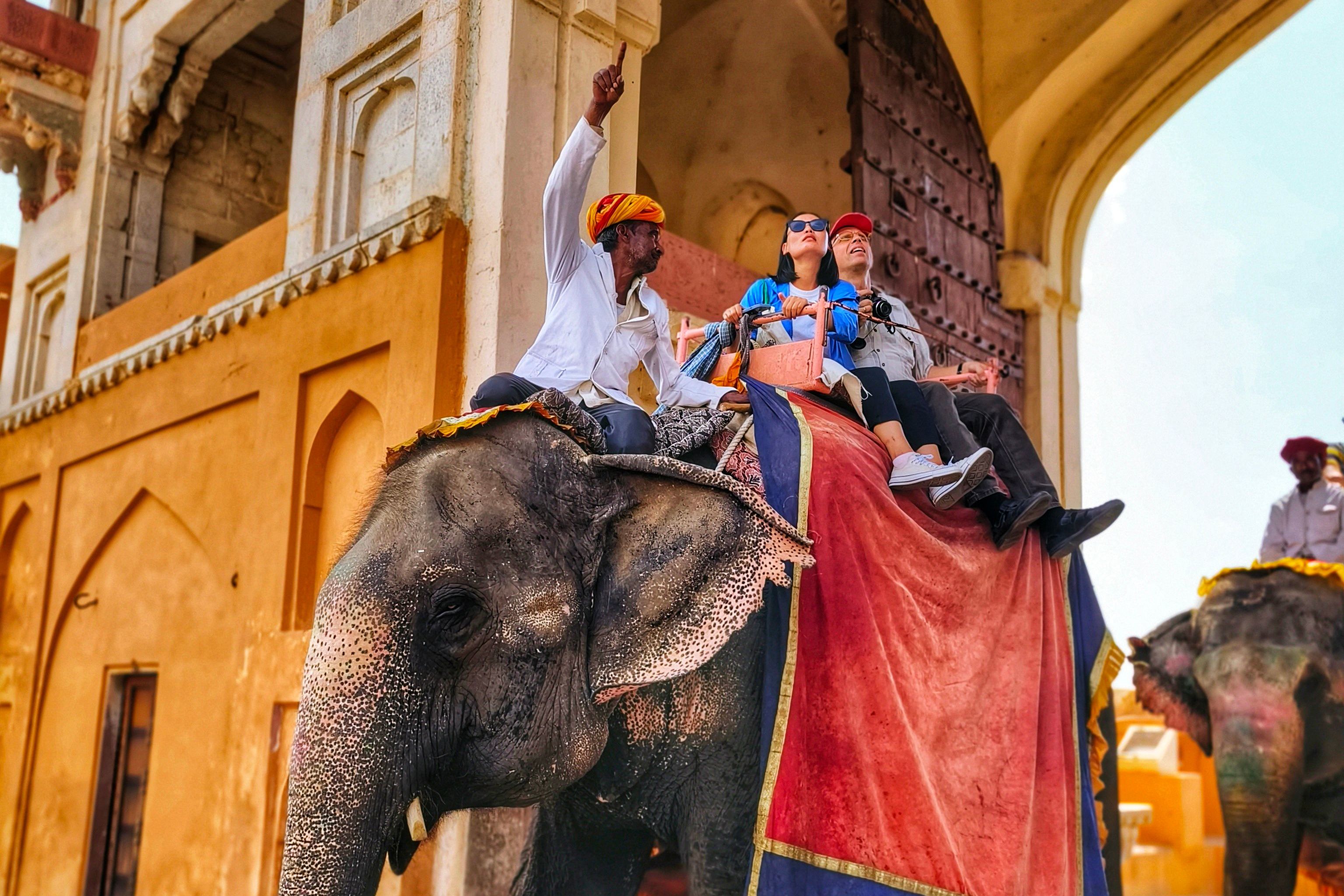 people riding an elephant near amber fort in jaipur rajasthan