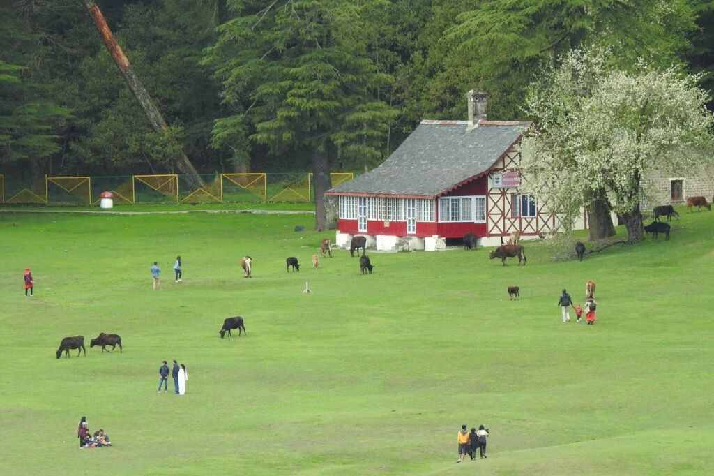 people walking on grass at khajjiar during daytime