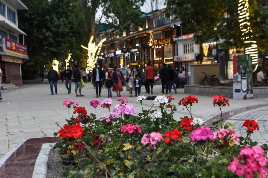 people walking near flowers in polo view market in srinagar