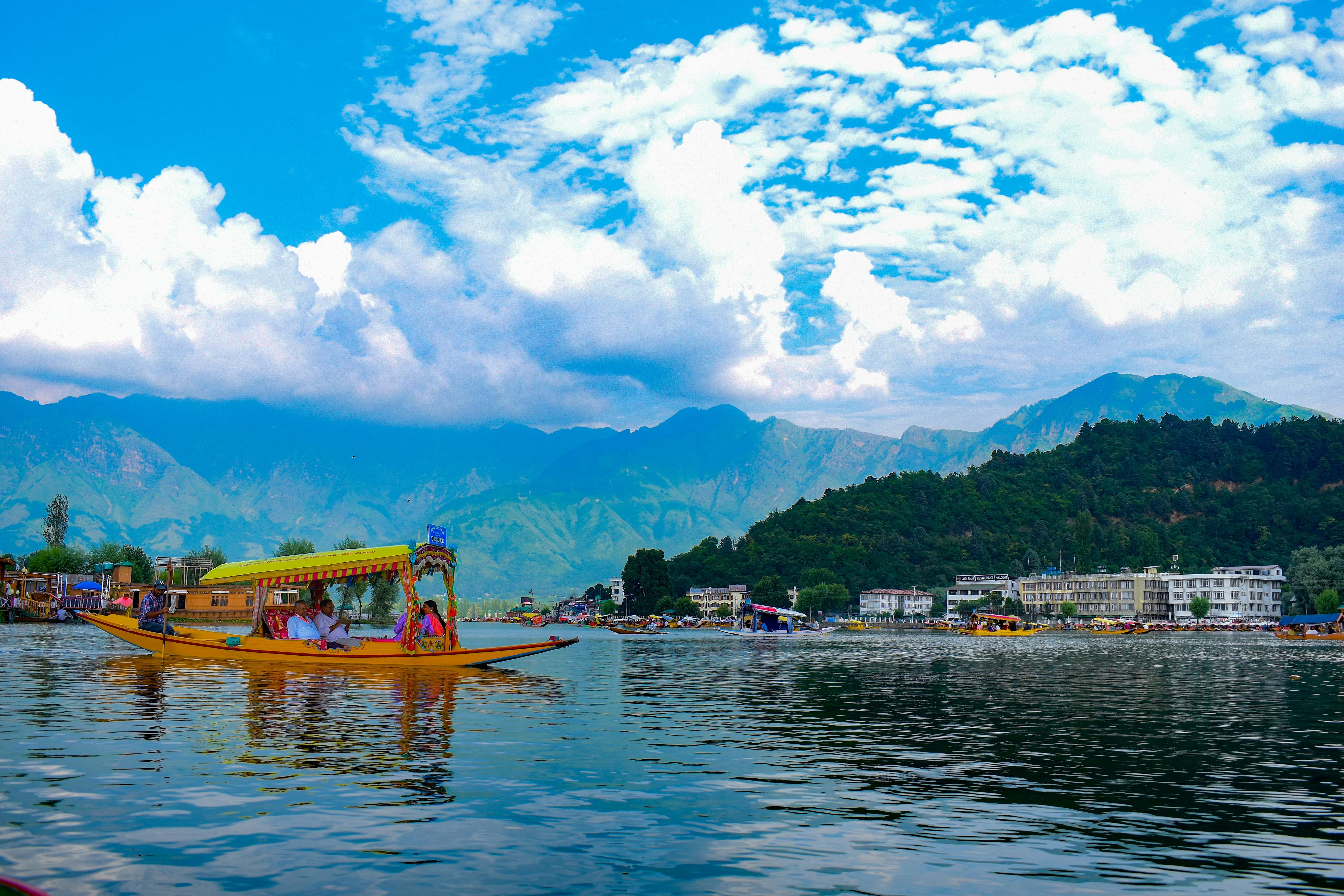 a scenic shikara ride on dal lake in kashmir