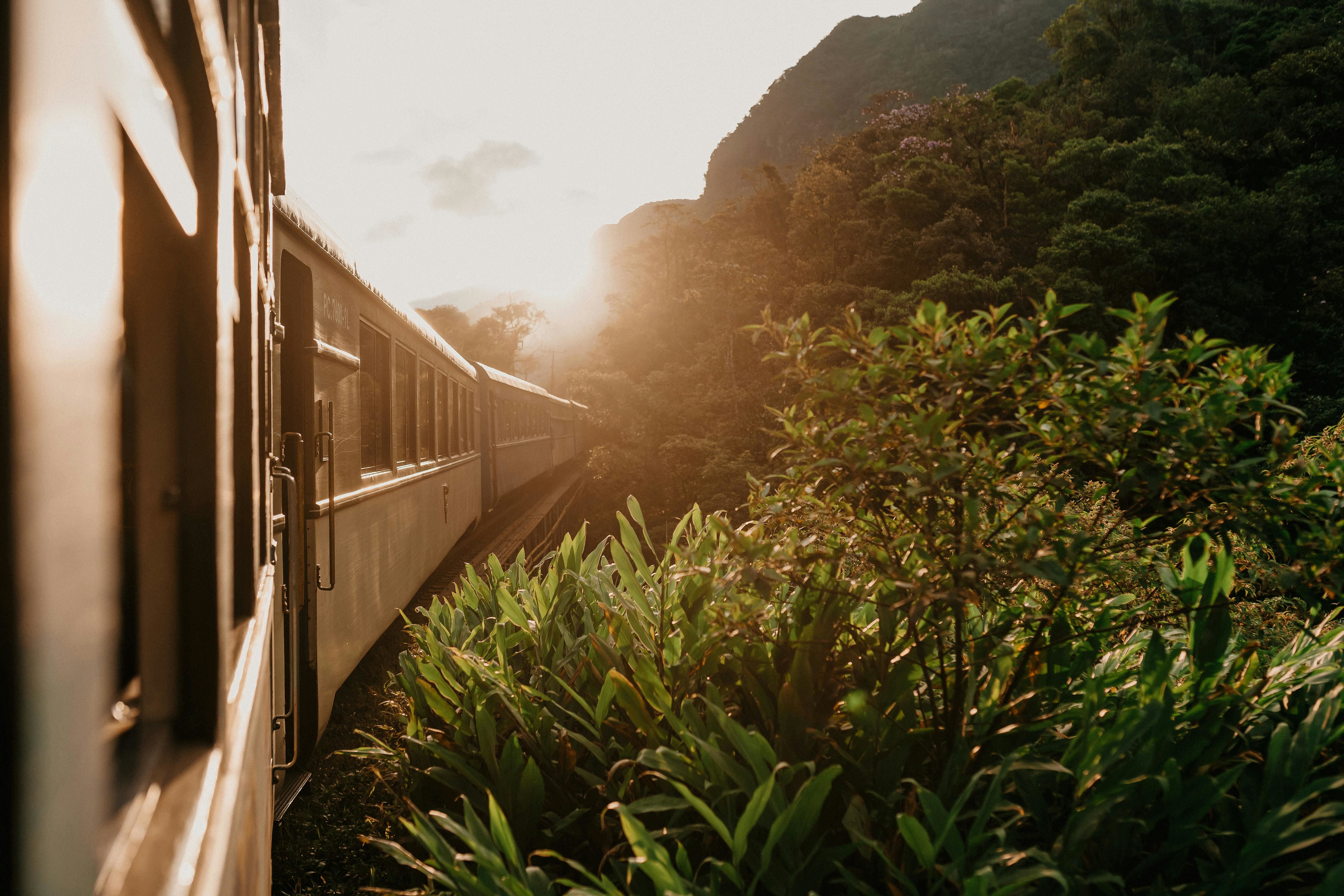 a scenic train journey through lush greenery
