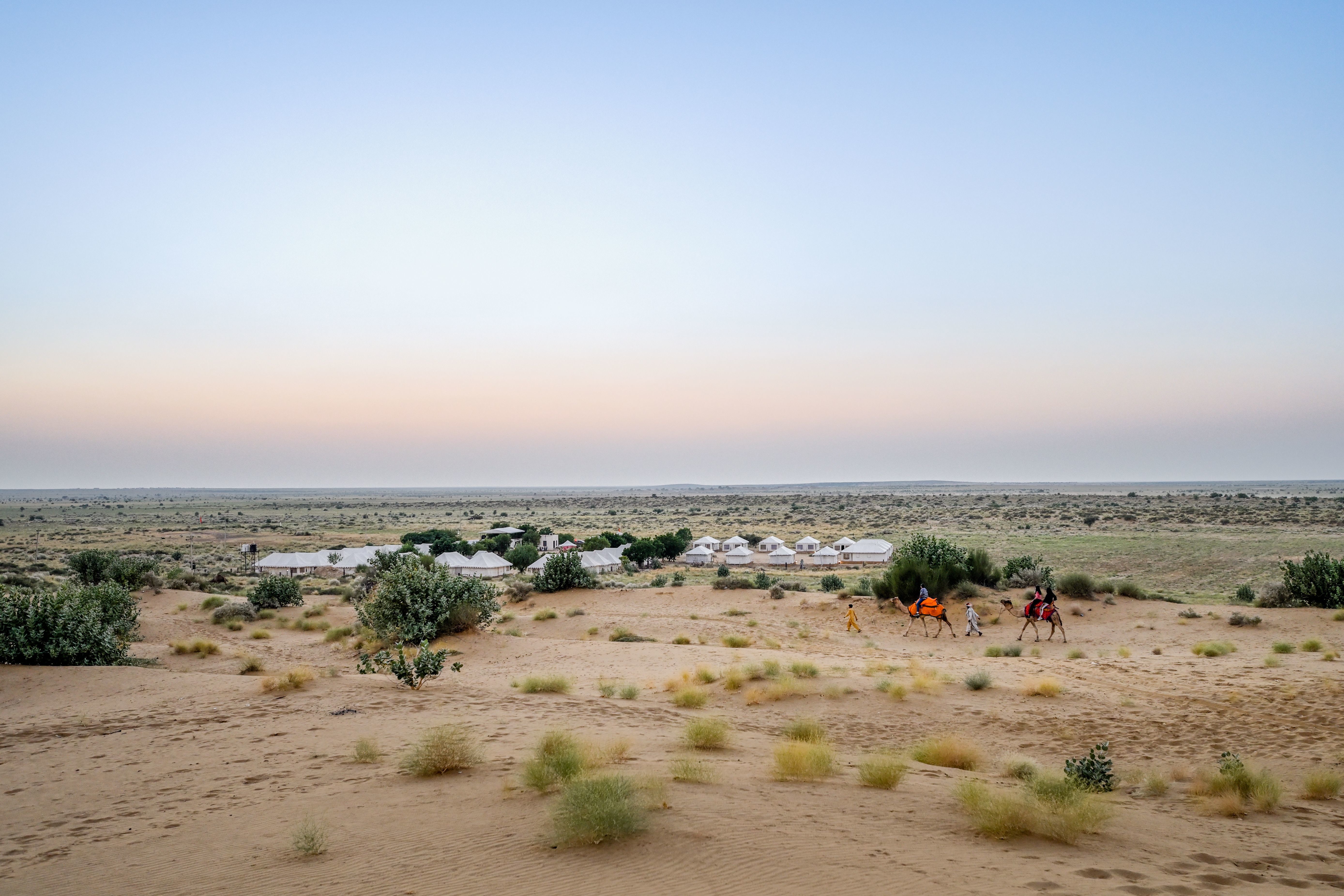 scenic view of a camel caravan near tents at sunset in the thar desert near jaisalmer