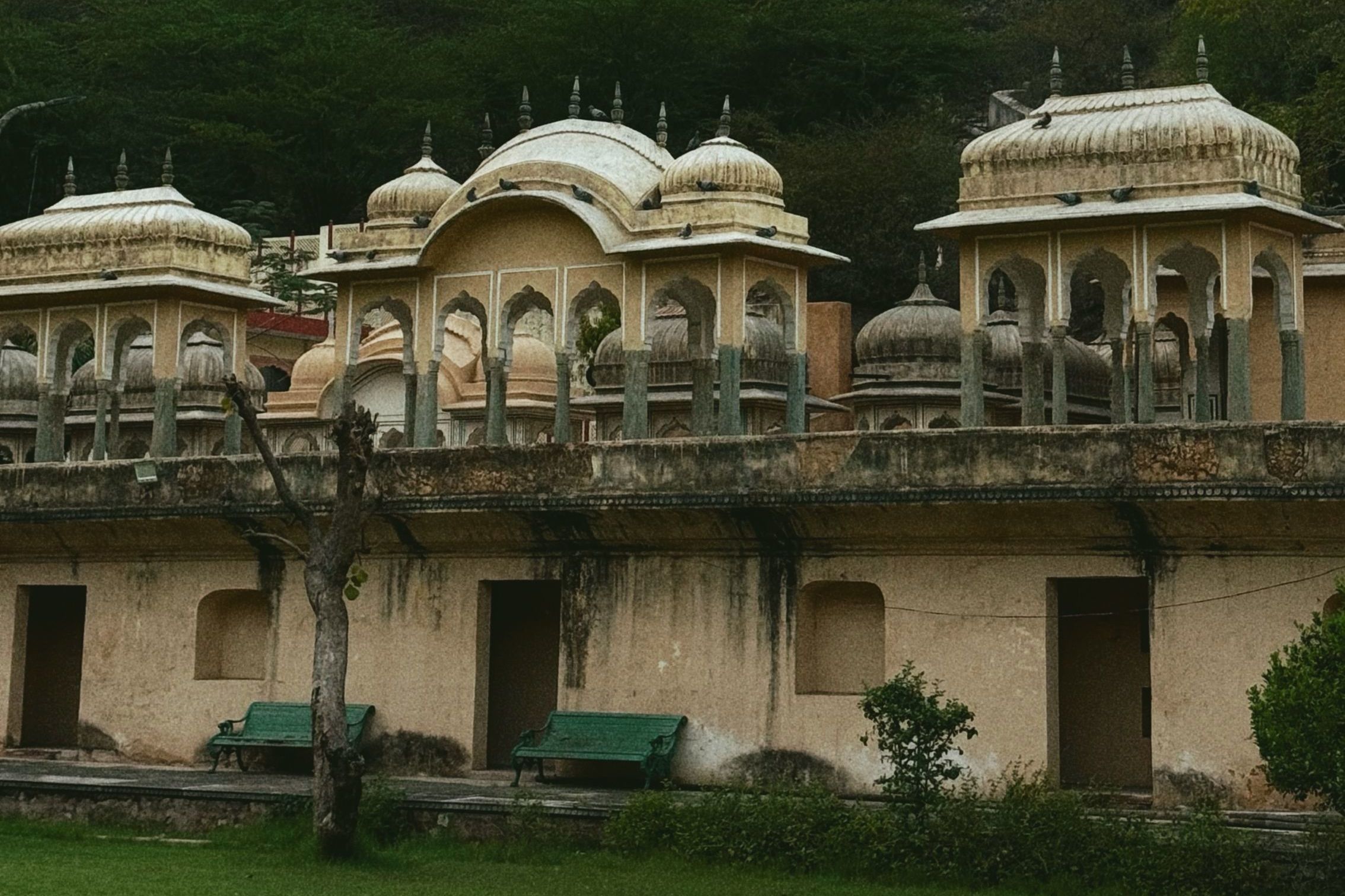 scenic view fo nahargarh fort with lush green surroundings and a backdrop of rocky hills