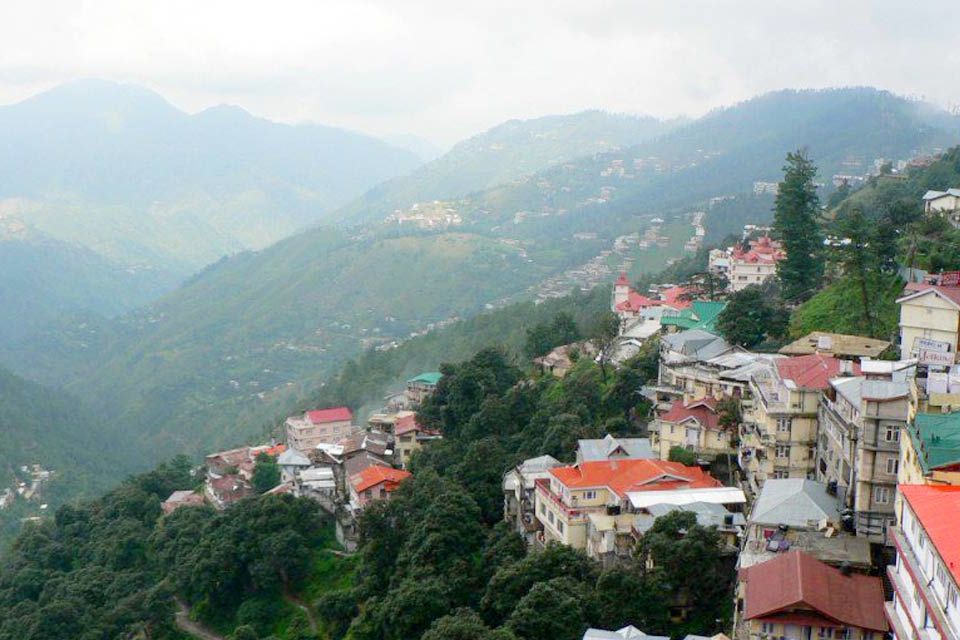 houses surrounded by green trees with green mountains in the backdrop