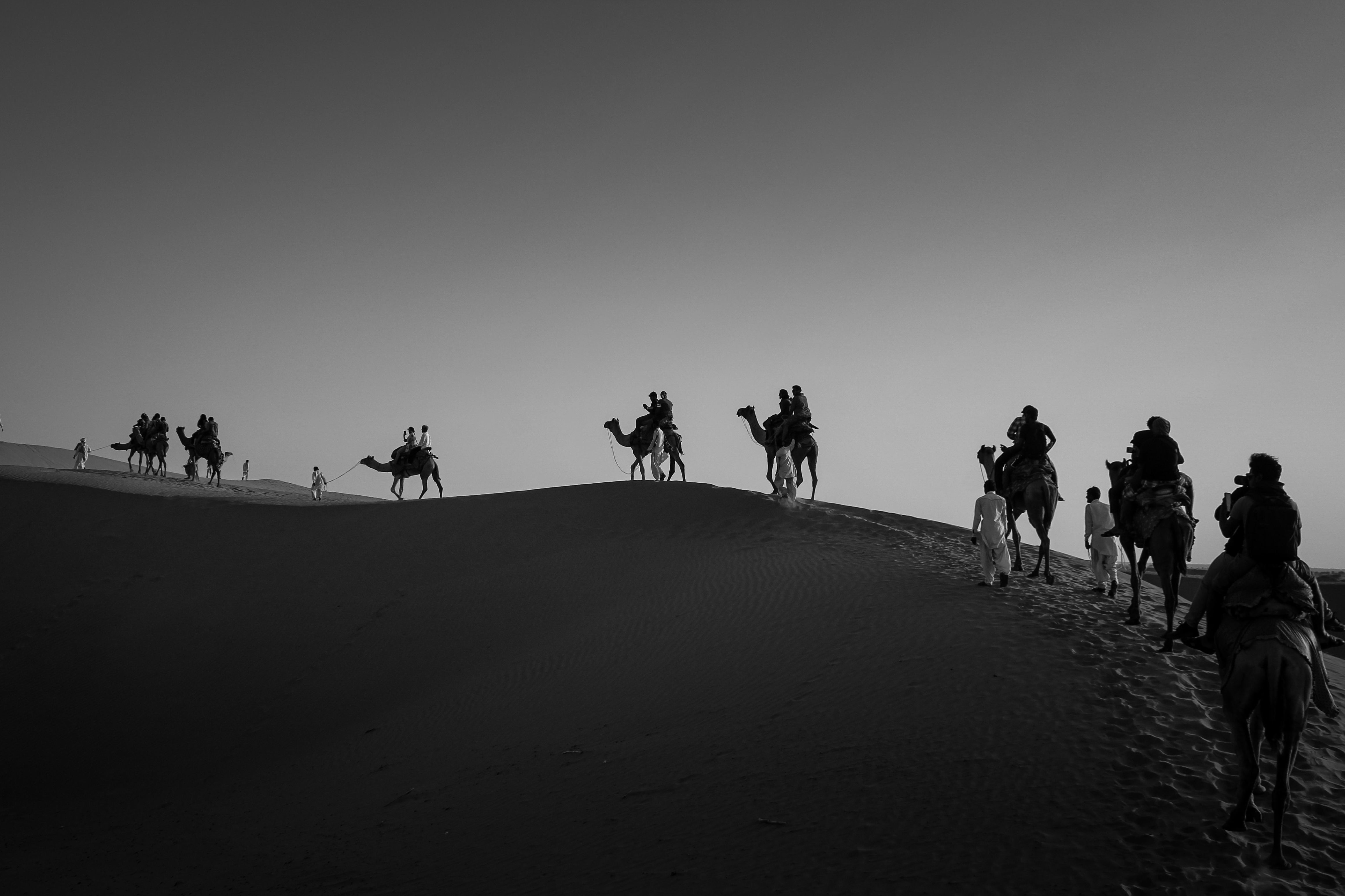 silhouette of camel caravan crossing a sand dune at twilight in jaisalmer