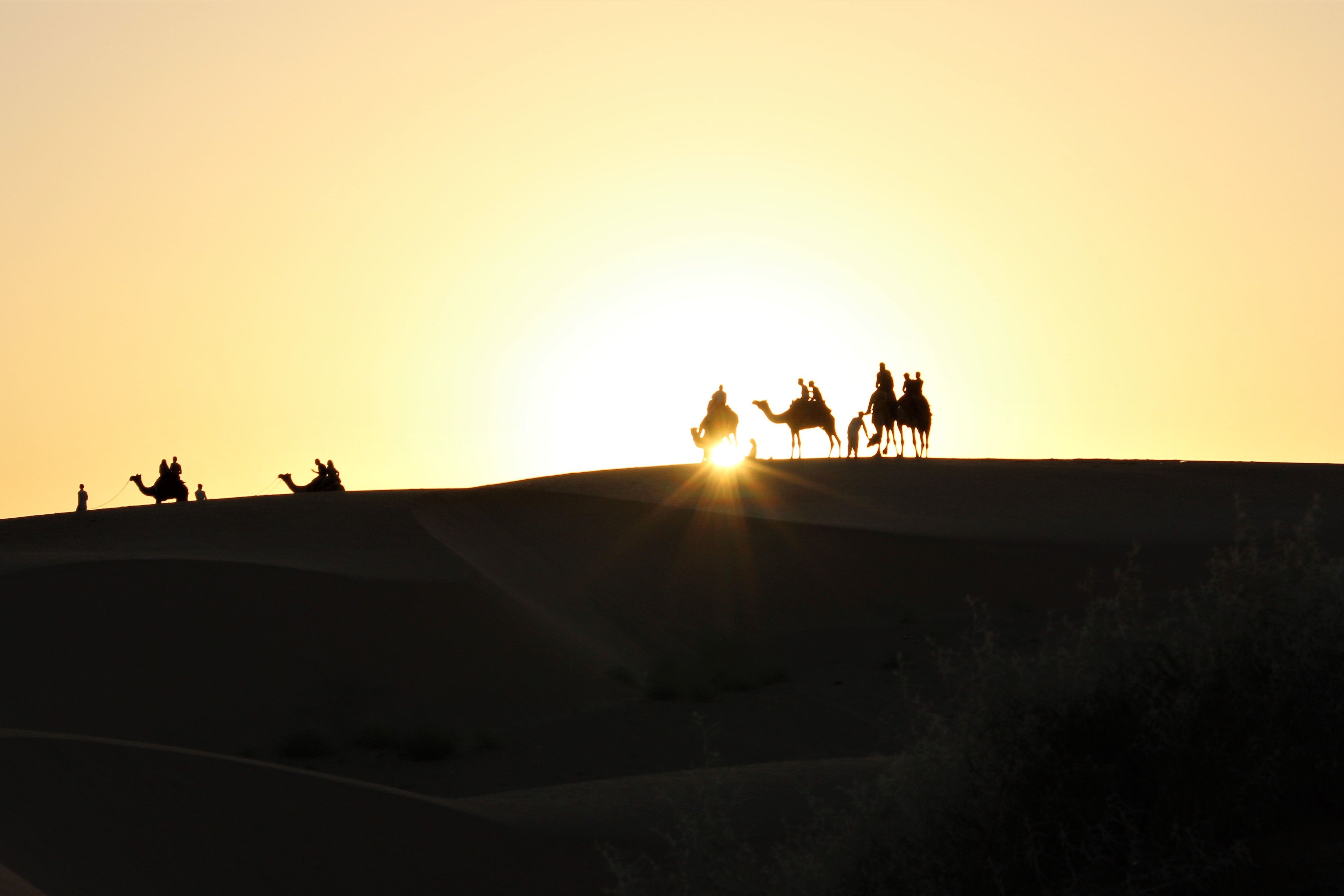 silhouette of camel caravan traversing the desert dunes during a stunning sunset in jaisalmer
