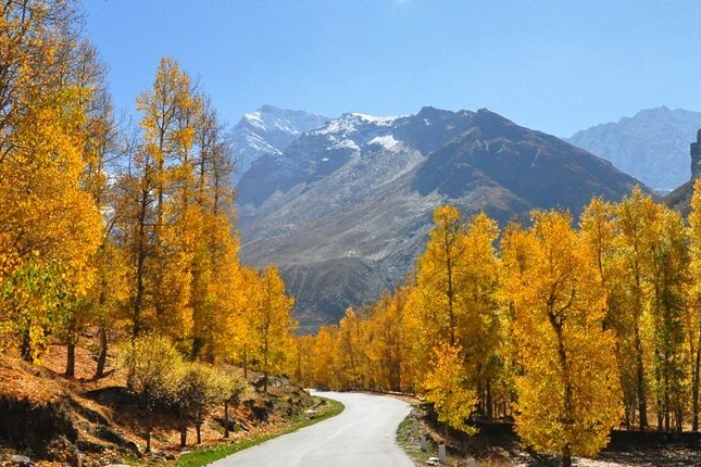 a road leading to sissu valley